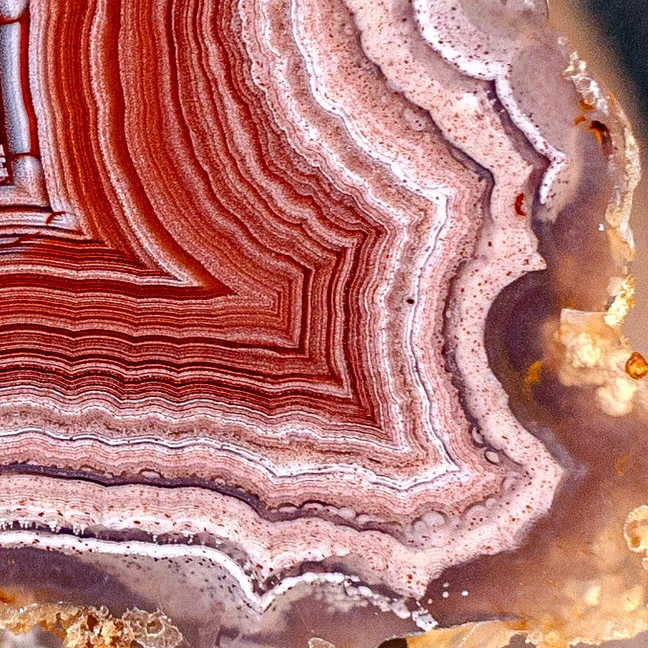 Radiant Red  - view 3