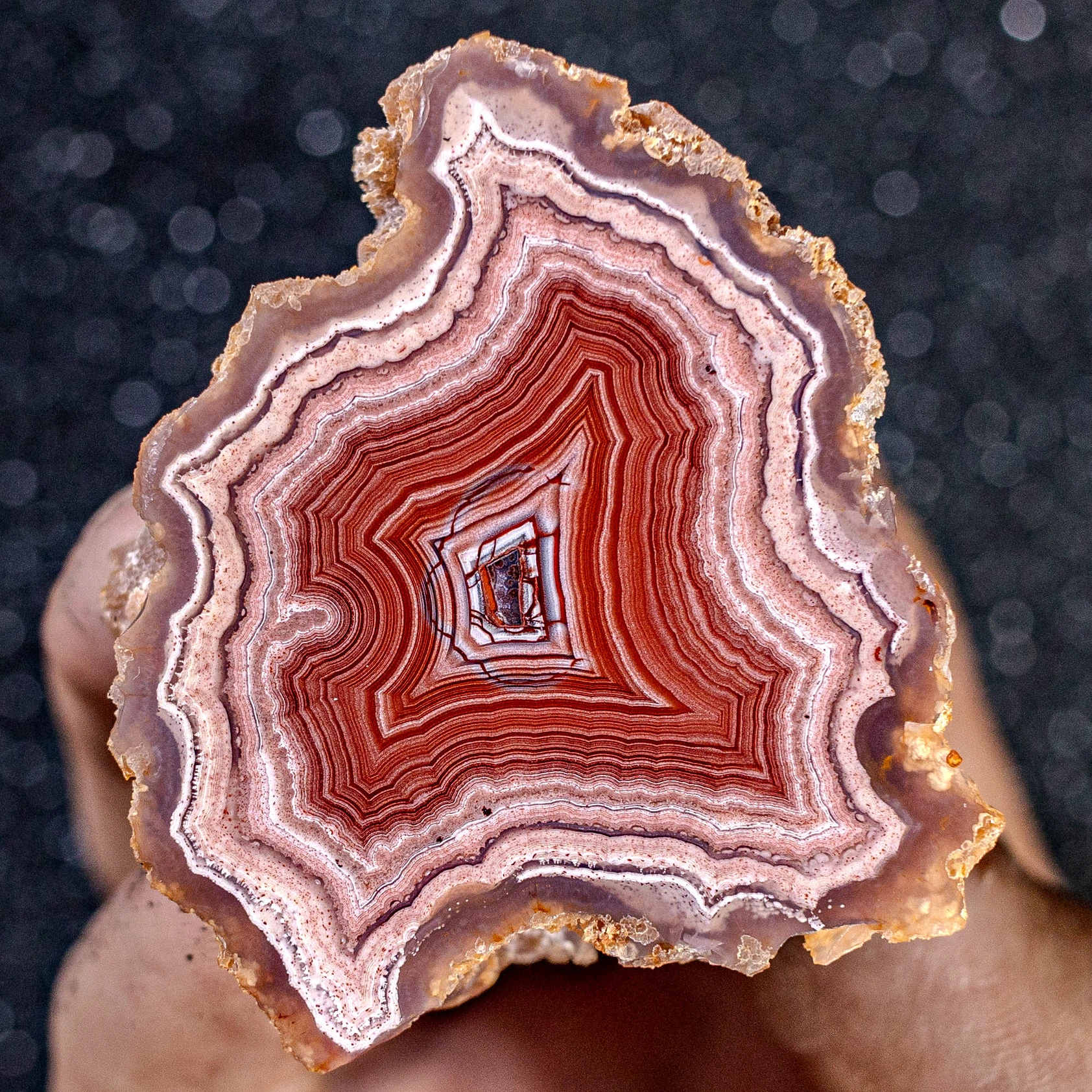 Radiant Red  - view 2