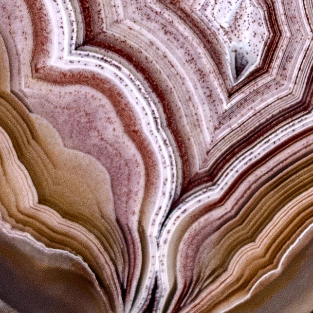 Creamy Pink - view 5