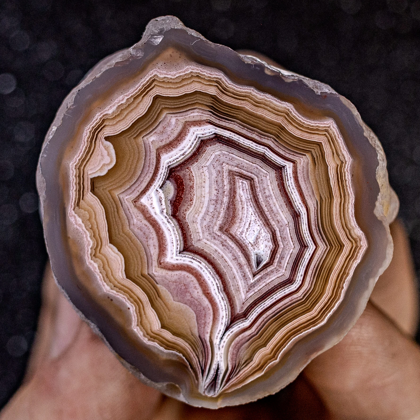 Creamy Pink - view 2