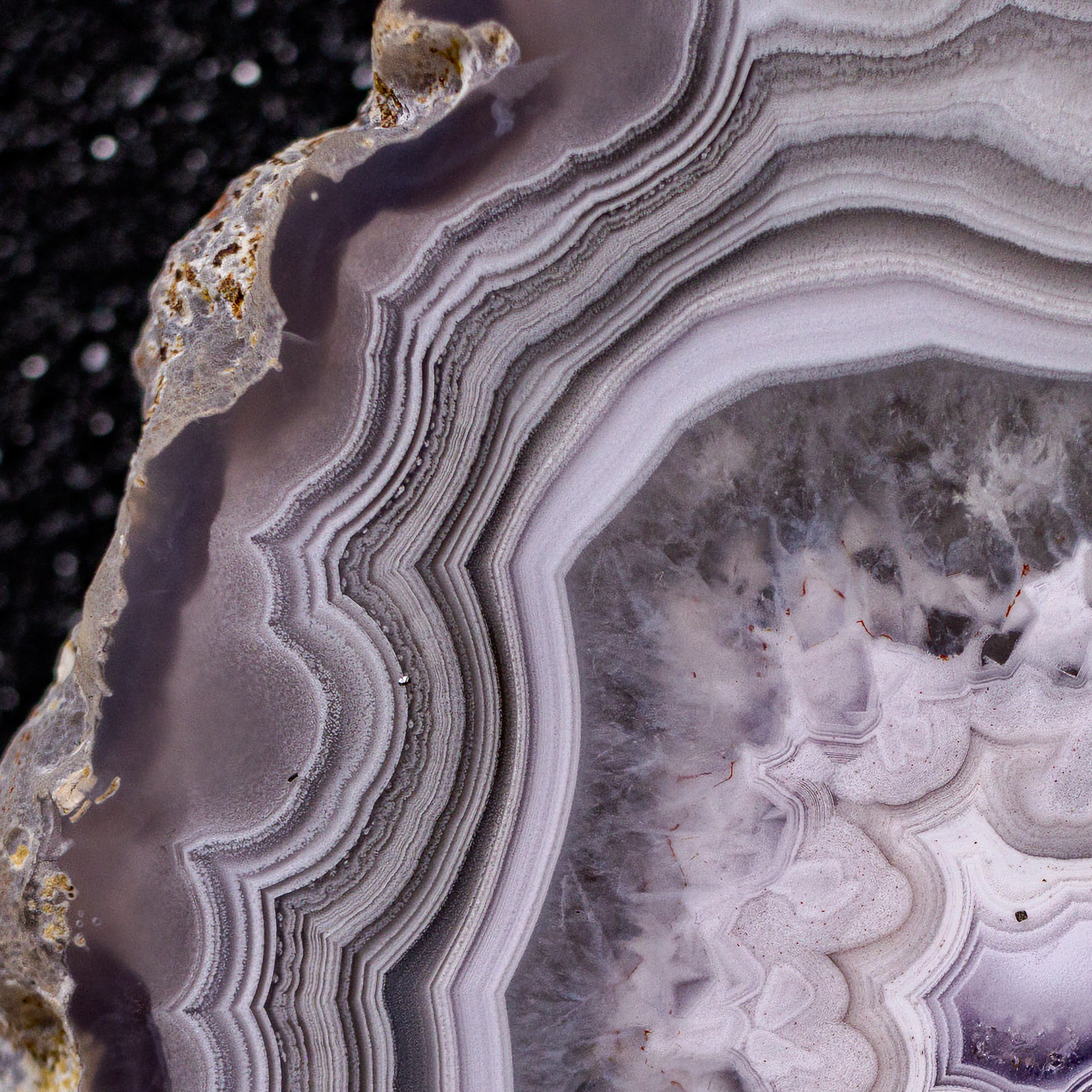 Hypnotic - view 3