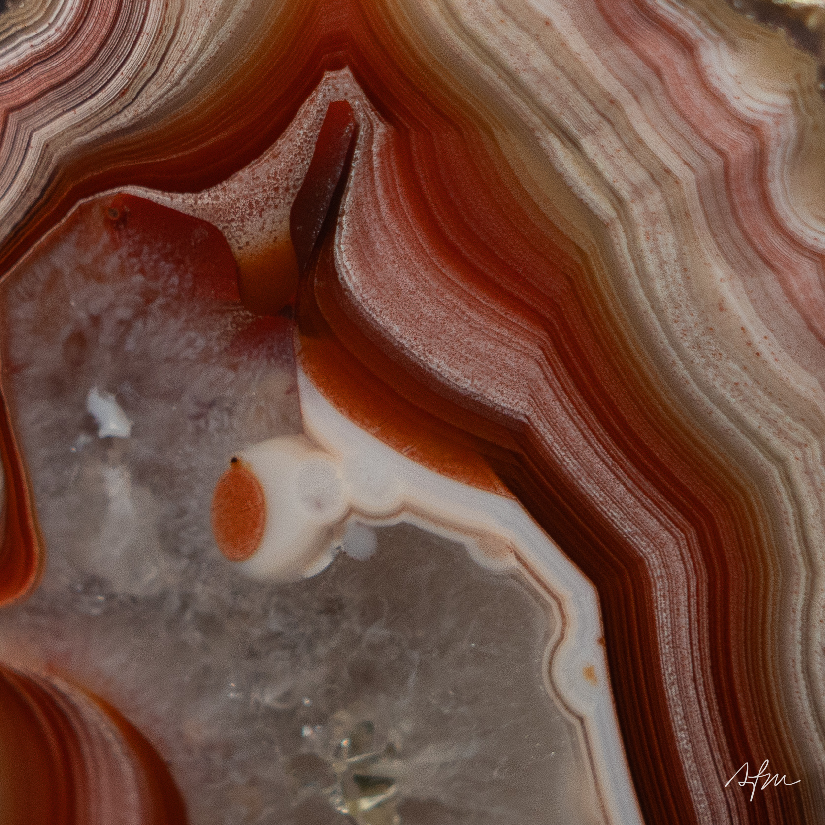 Strata Pulse - view 2