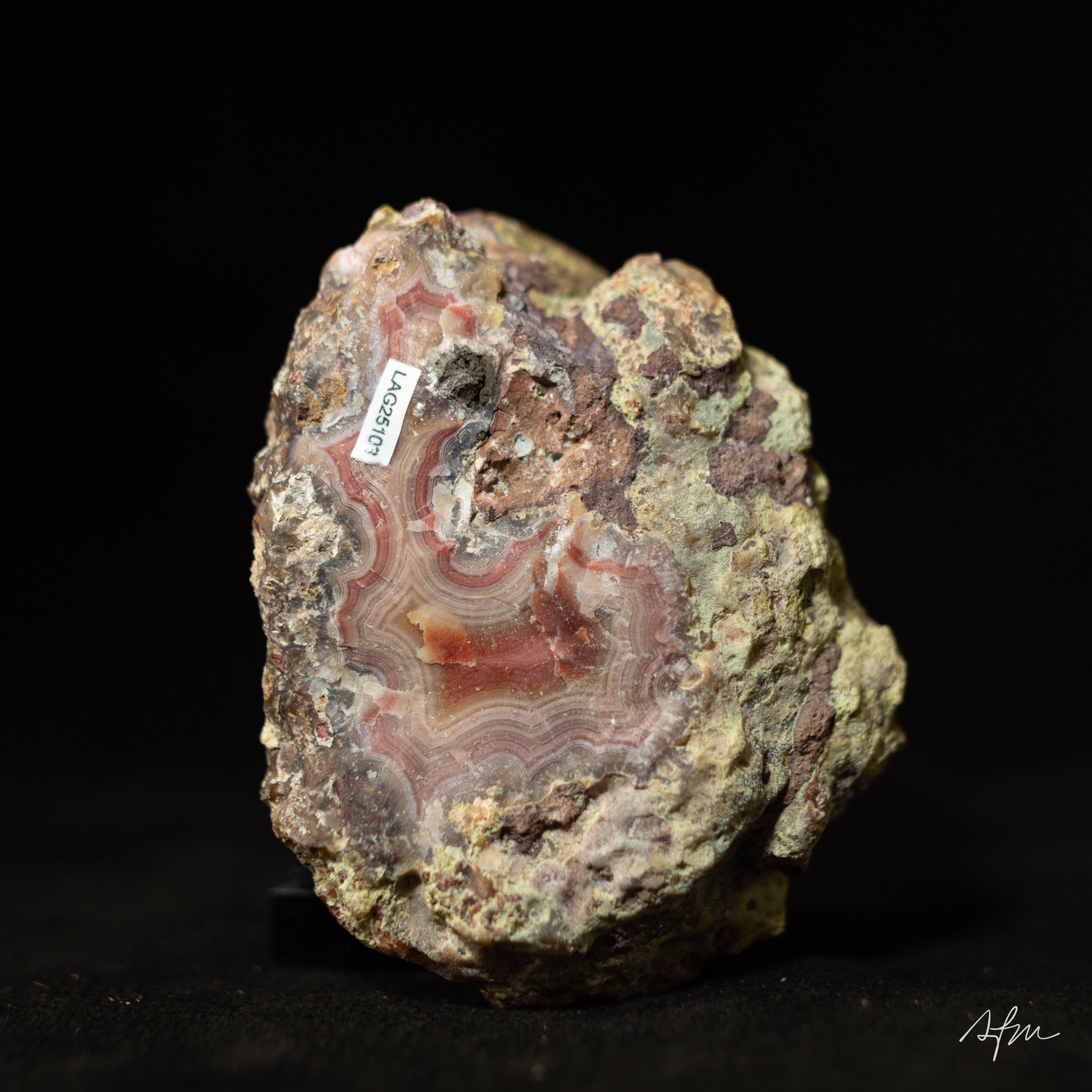 Pulseform - view 3
