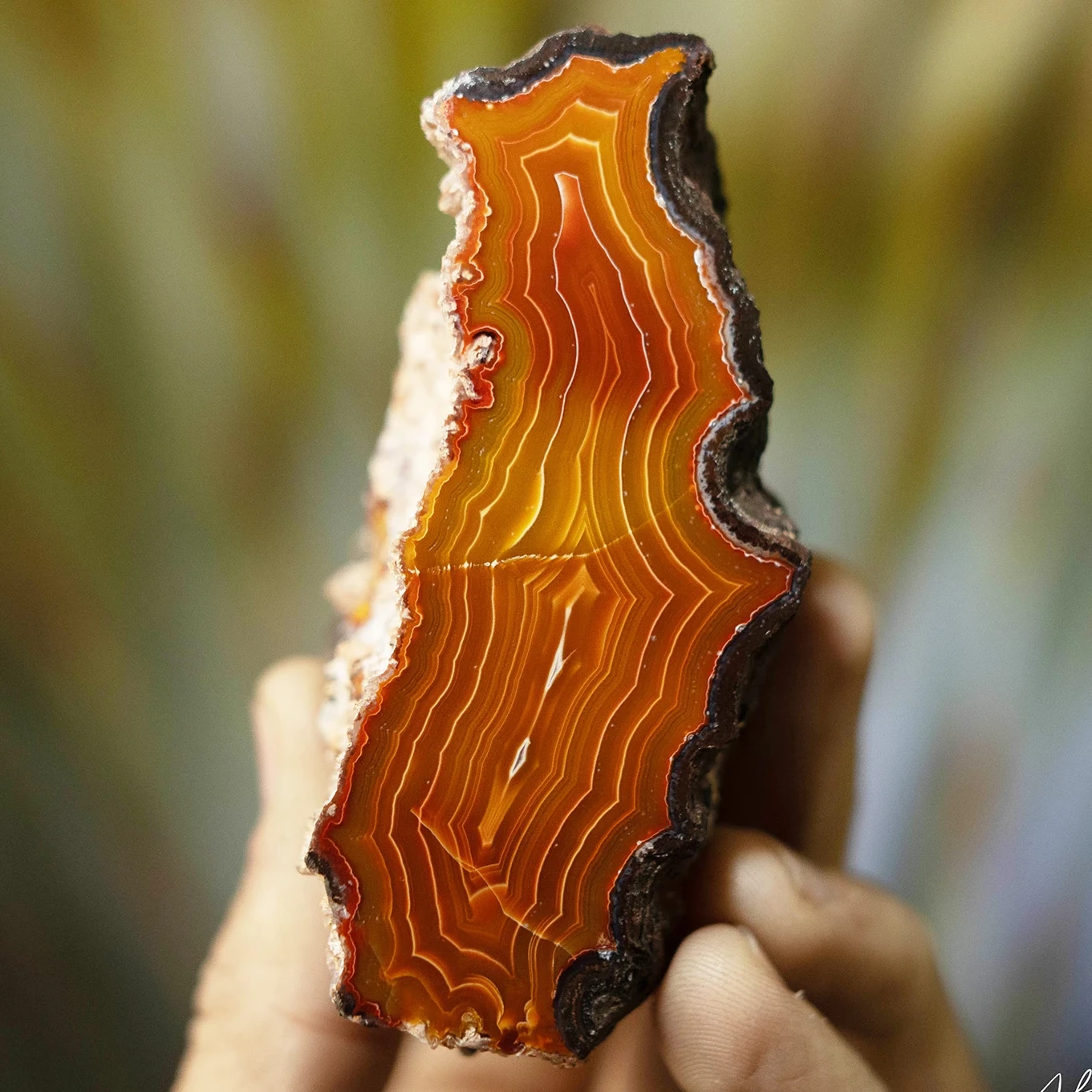 Sunset Spine - view 2