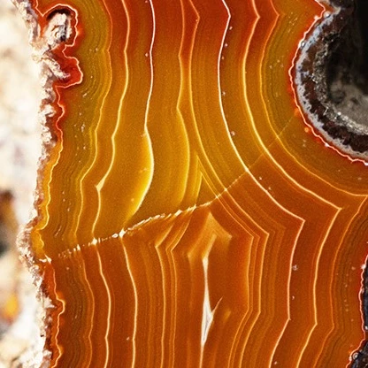 Sunset Spine - view 5