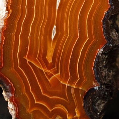 Sunset Spine - view 4