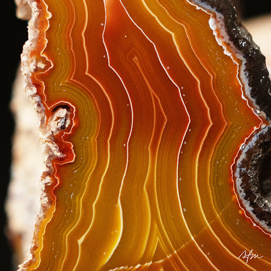 Sunset Spine - view 3