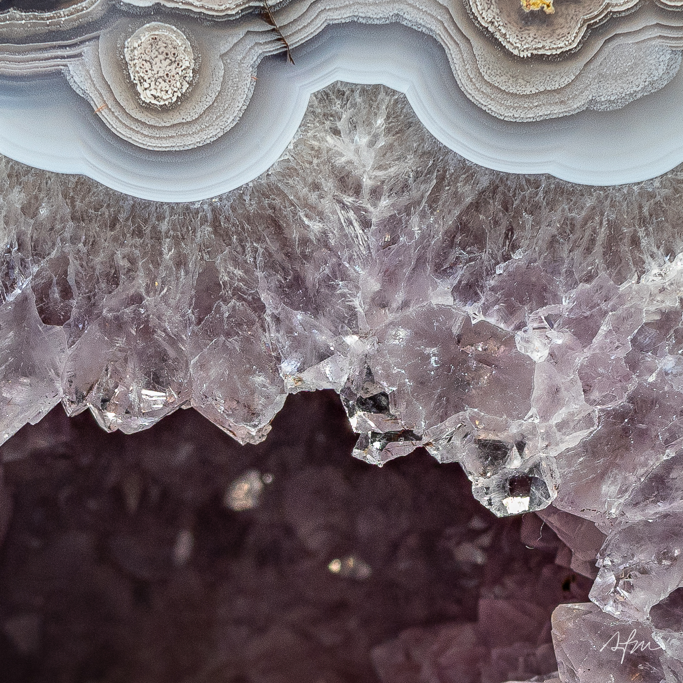 Violet Sanctuary - view 3