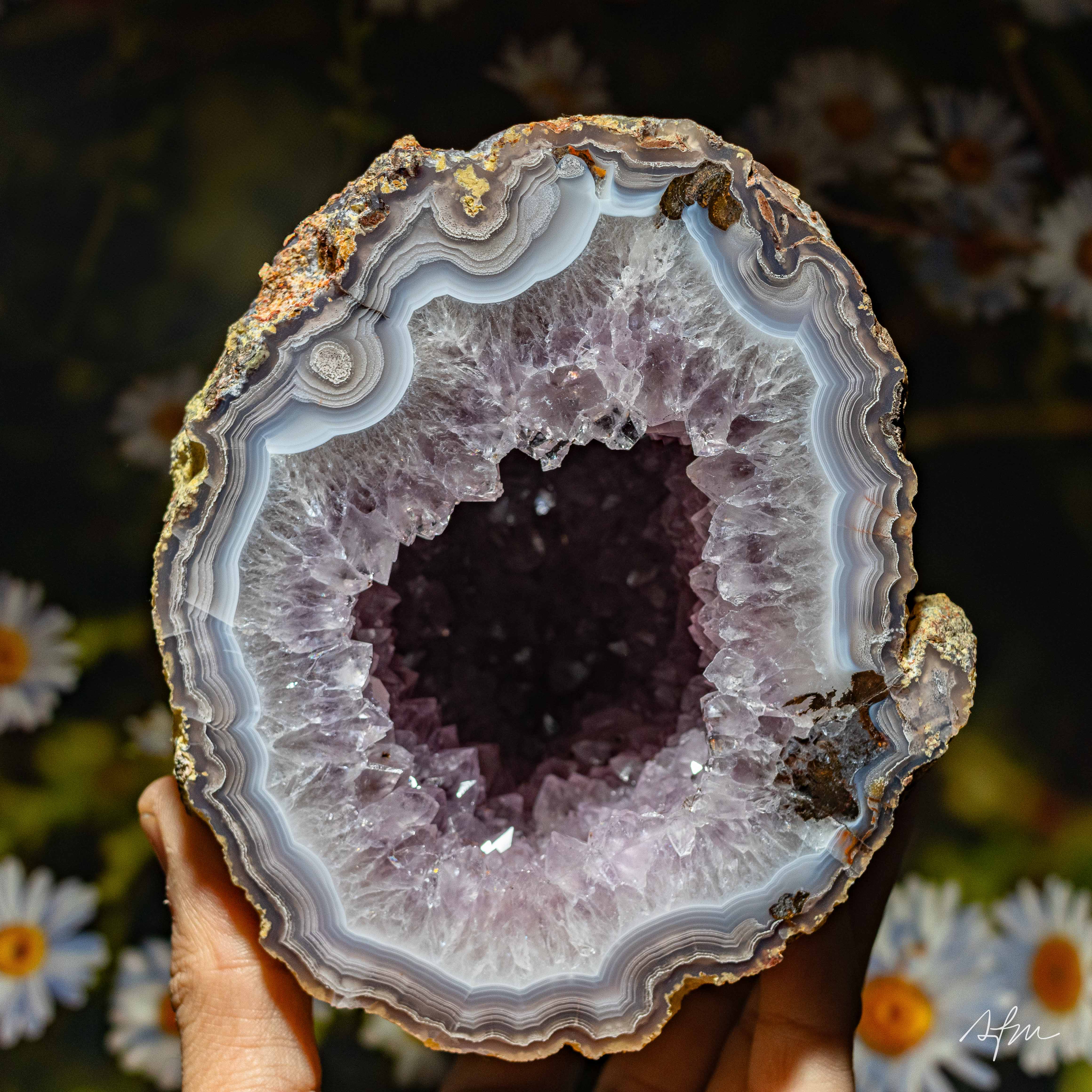 Violet Sanctuary - view 2