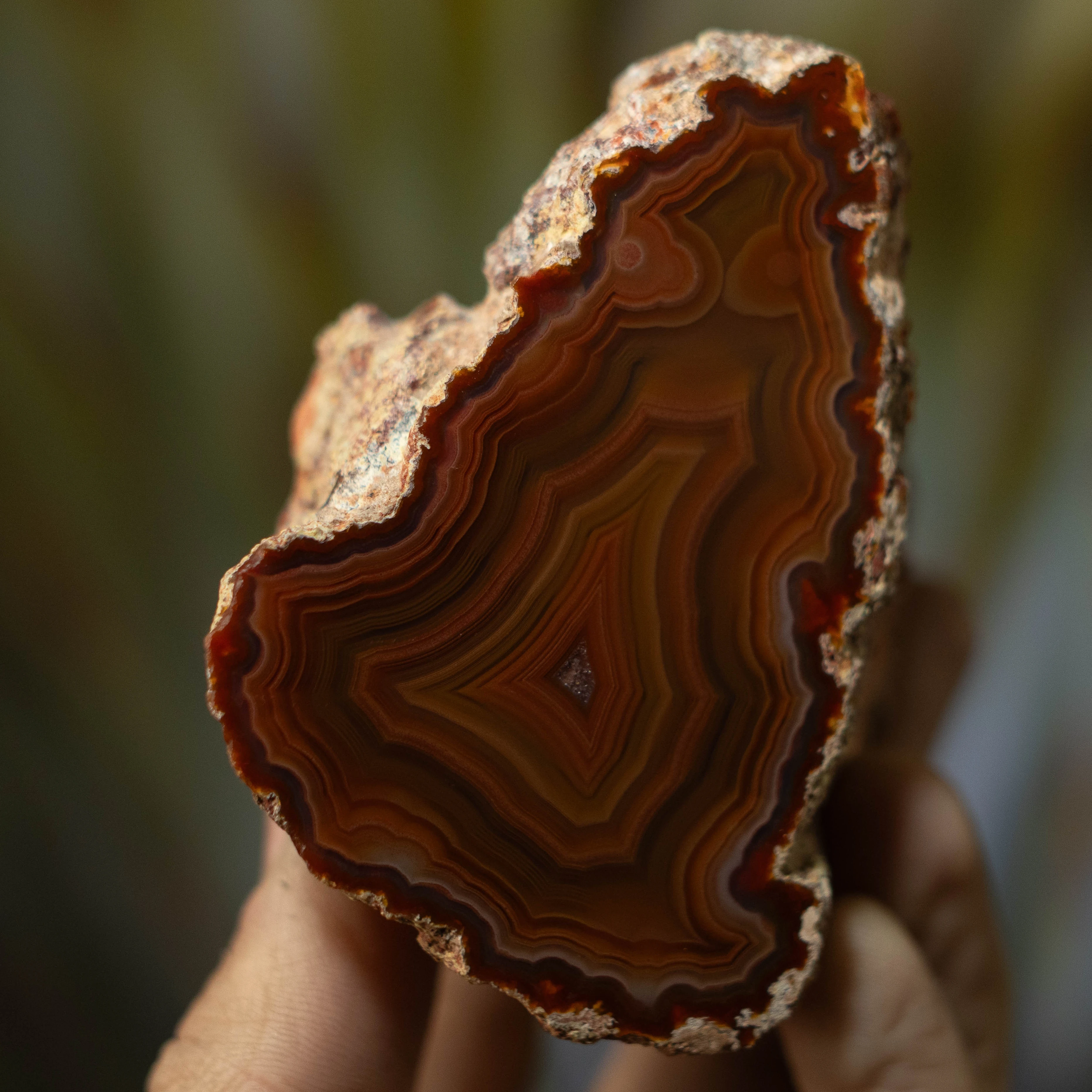 Rust Flame - view 2