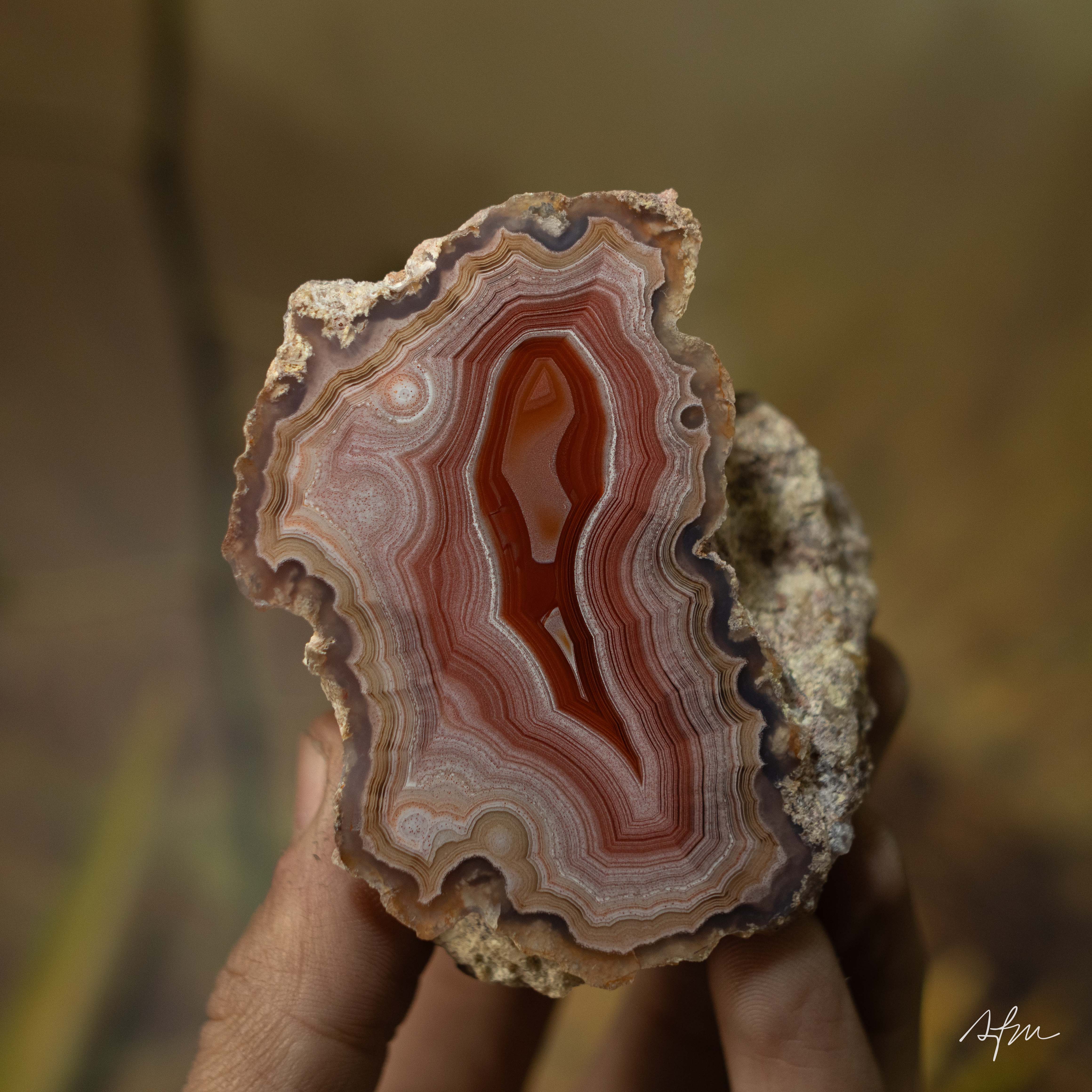 Stillheart - view 2