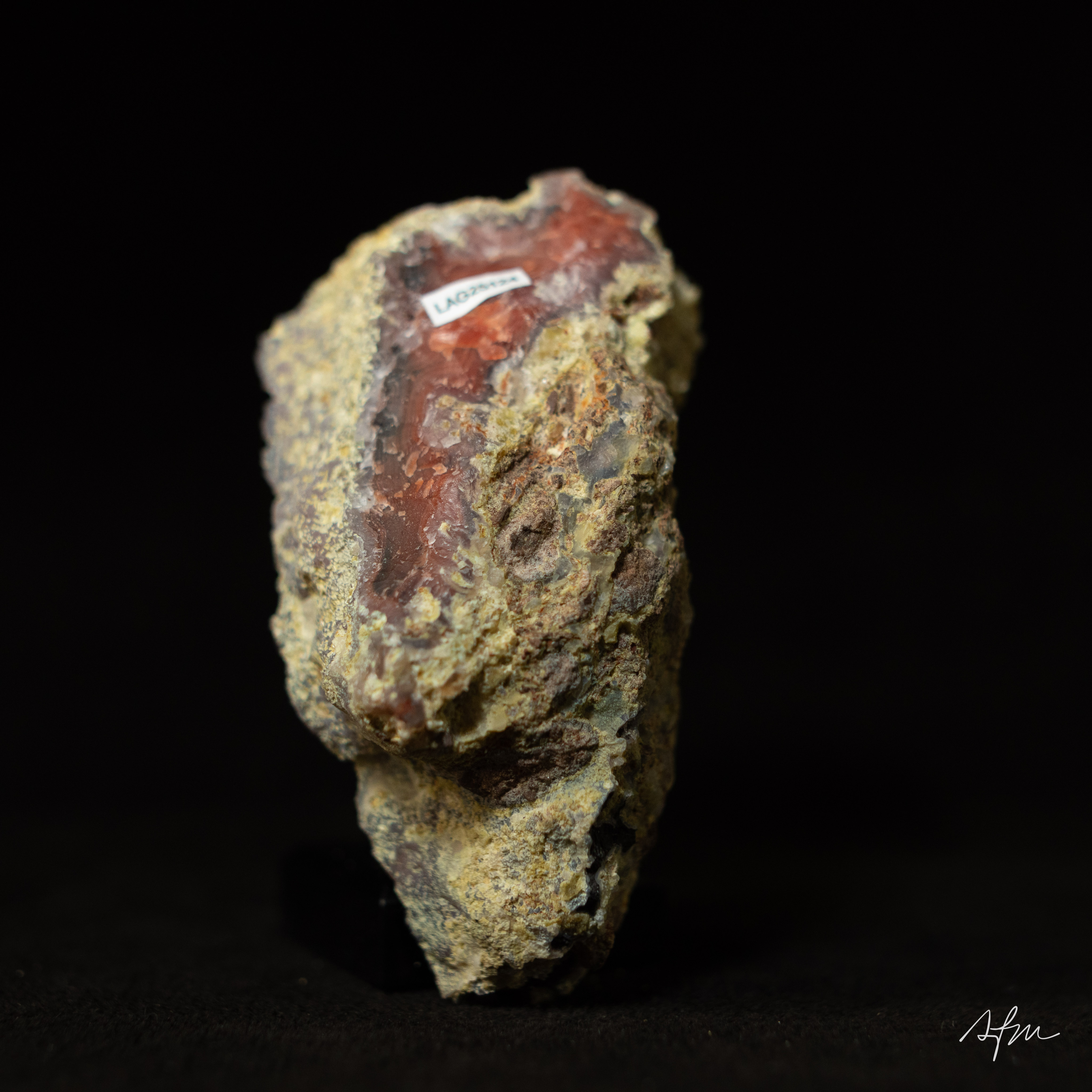 Crimson Pulse - view 5
