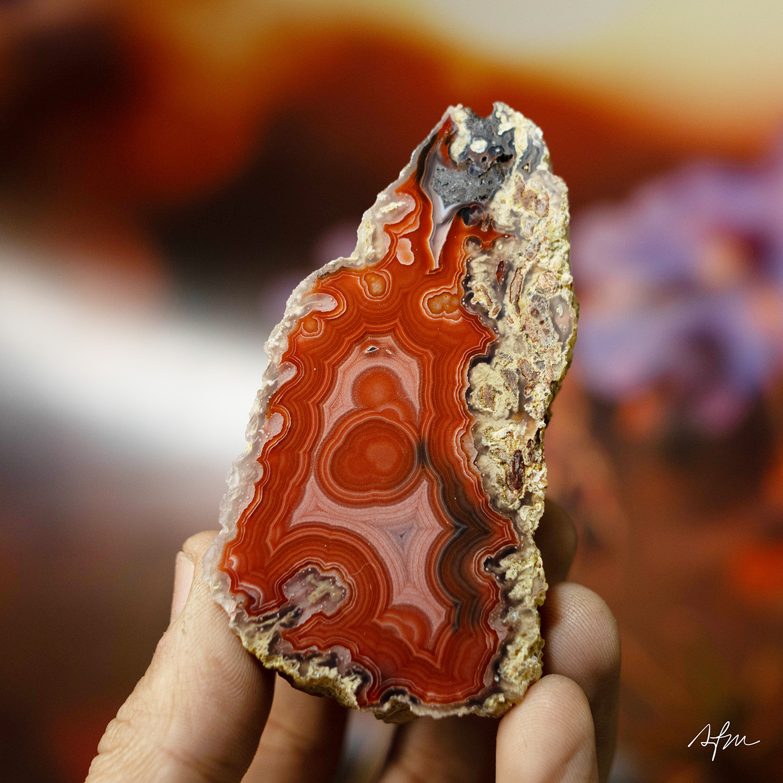 Crimson Pulse - view 2
