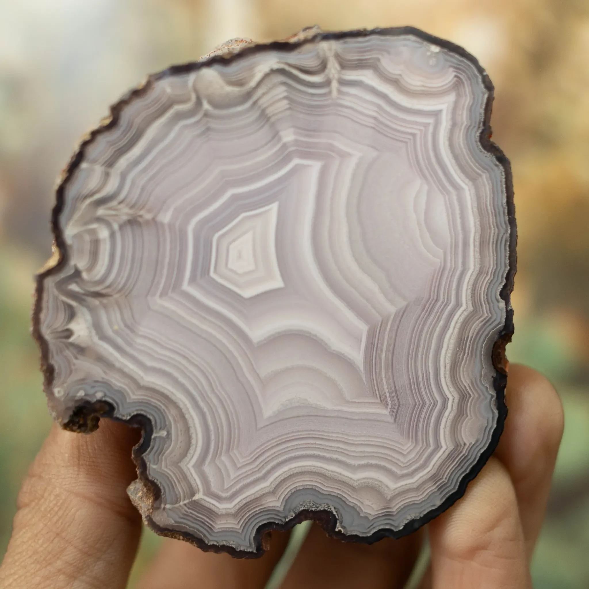 Edge Currents  - view 2