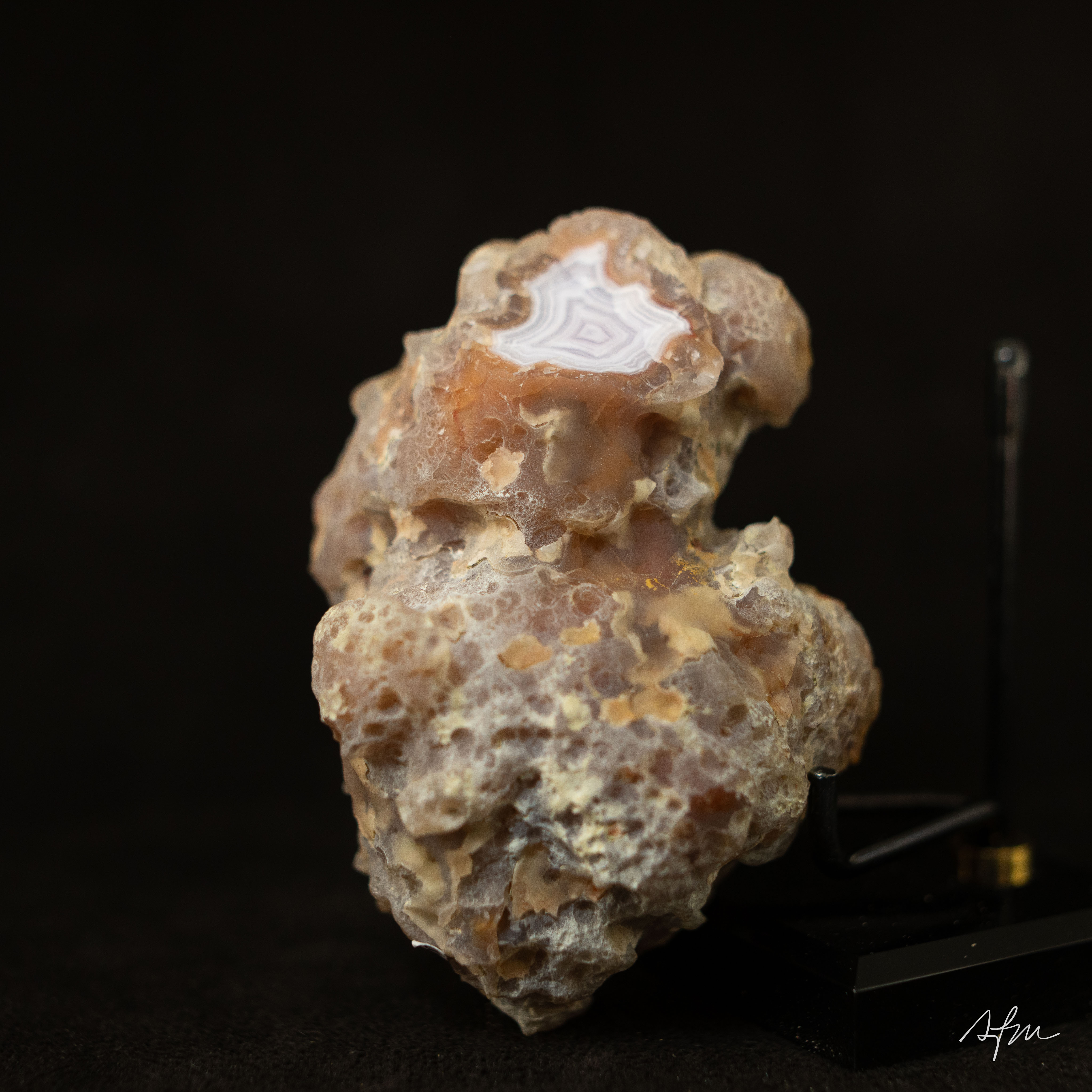 Brim Radiance - view 5