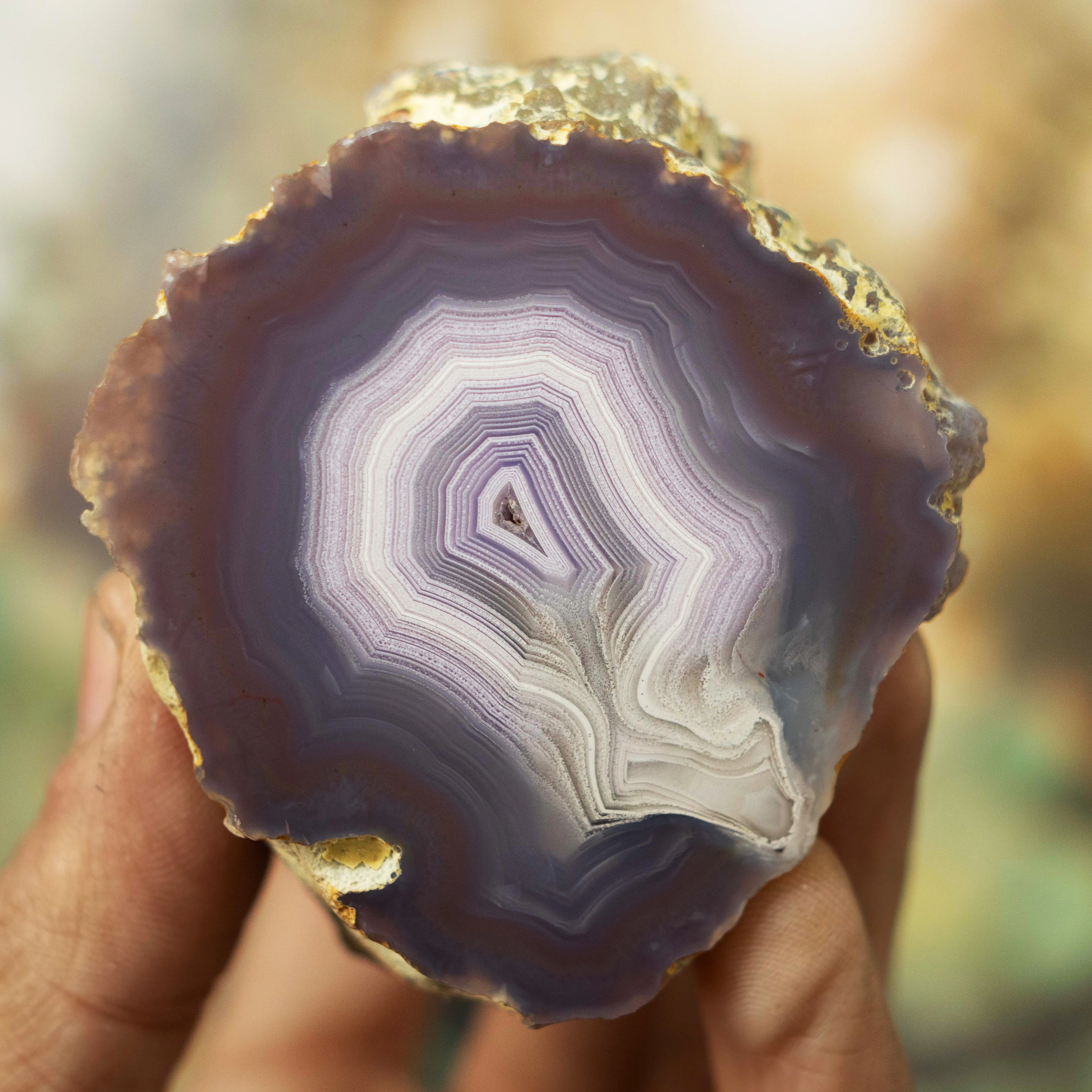 Violet Echo - view 2