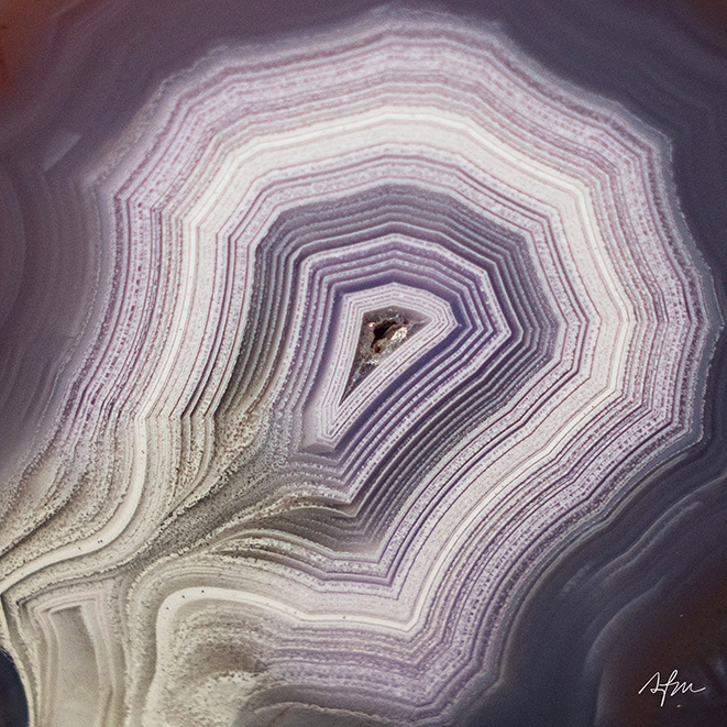 Violet Echo - view 3