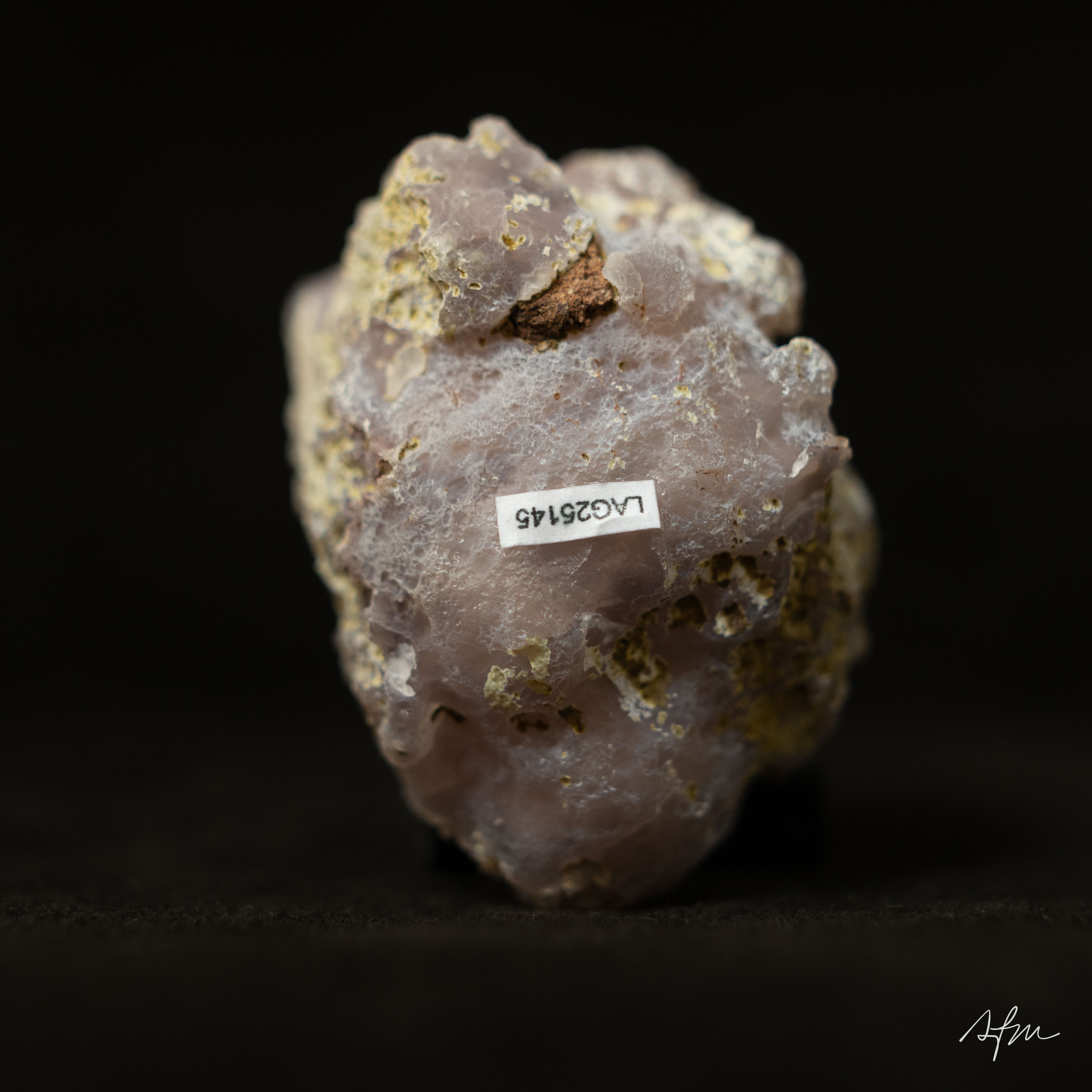 Glint  - view 5