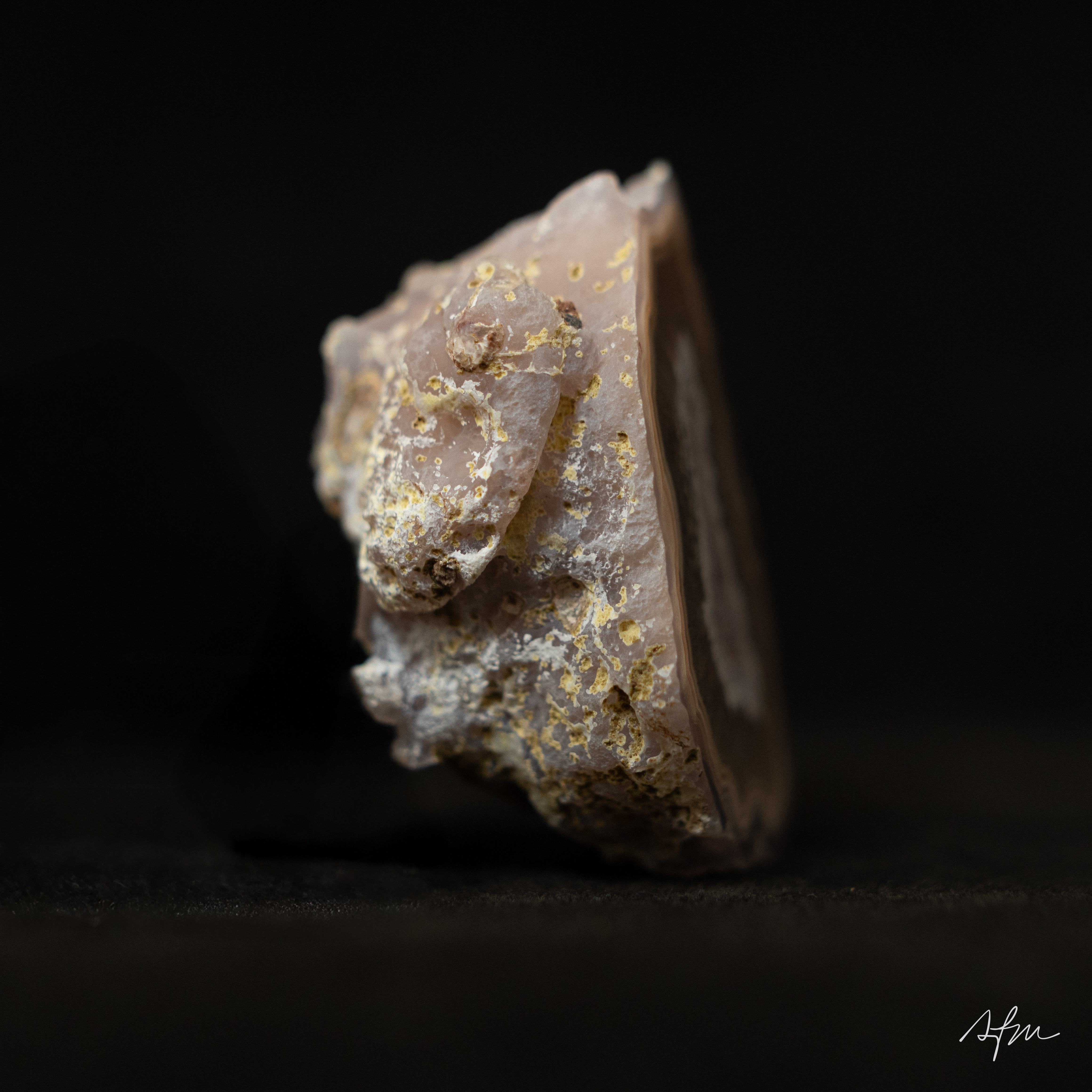 Glint  - view 4