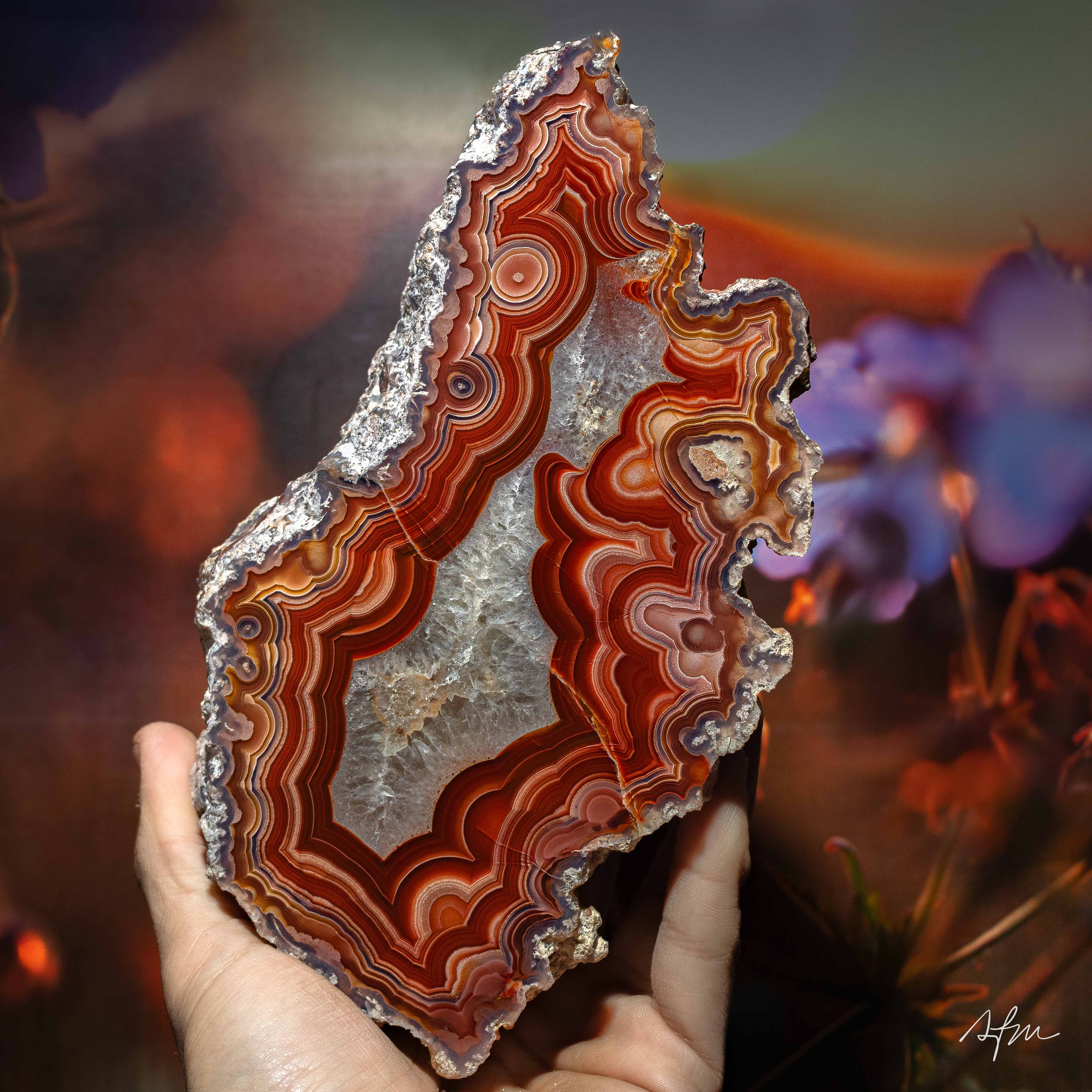 Magma  - view 2