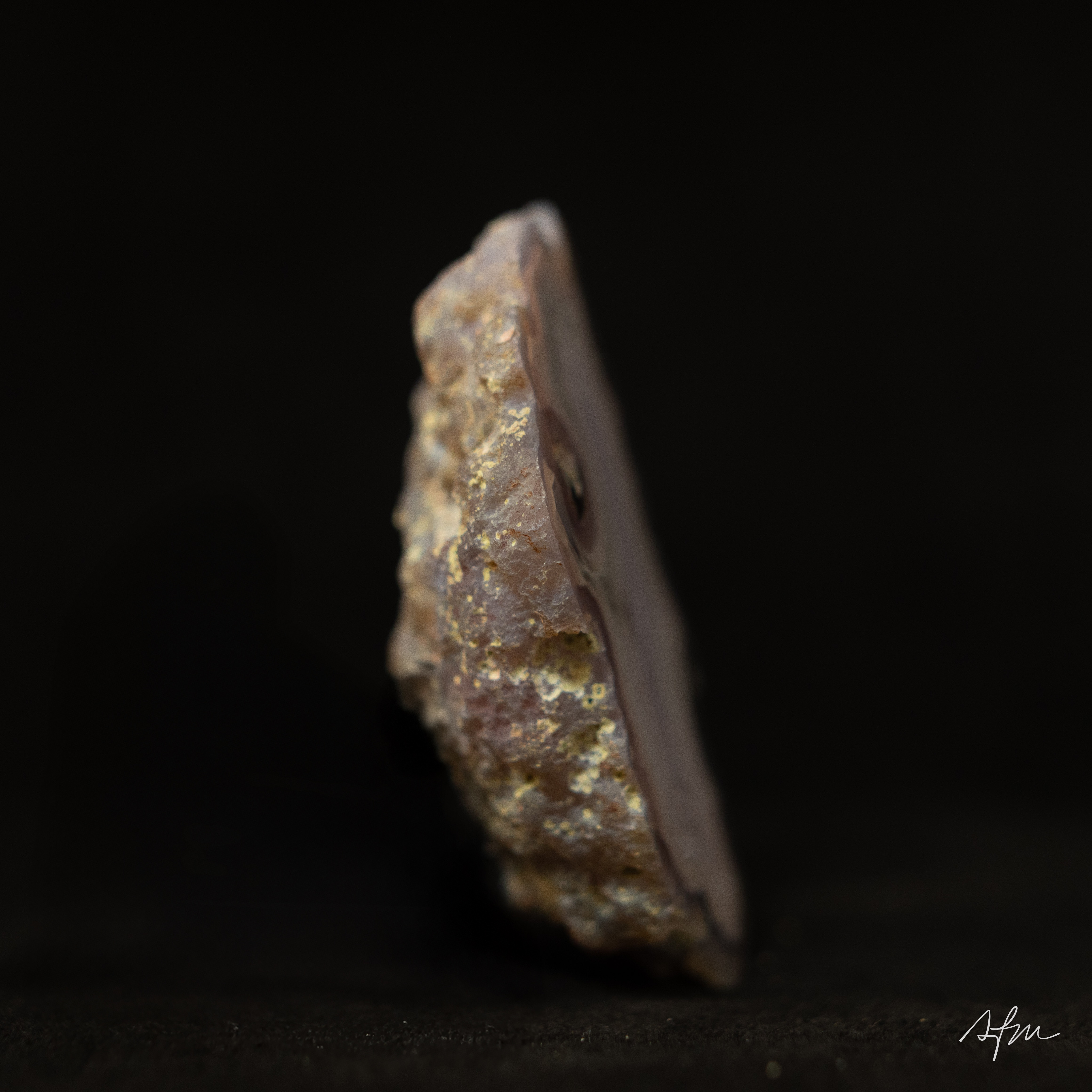 Lumen Fold - view 4