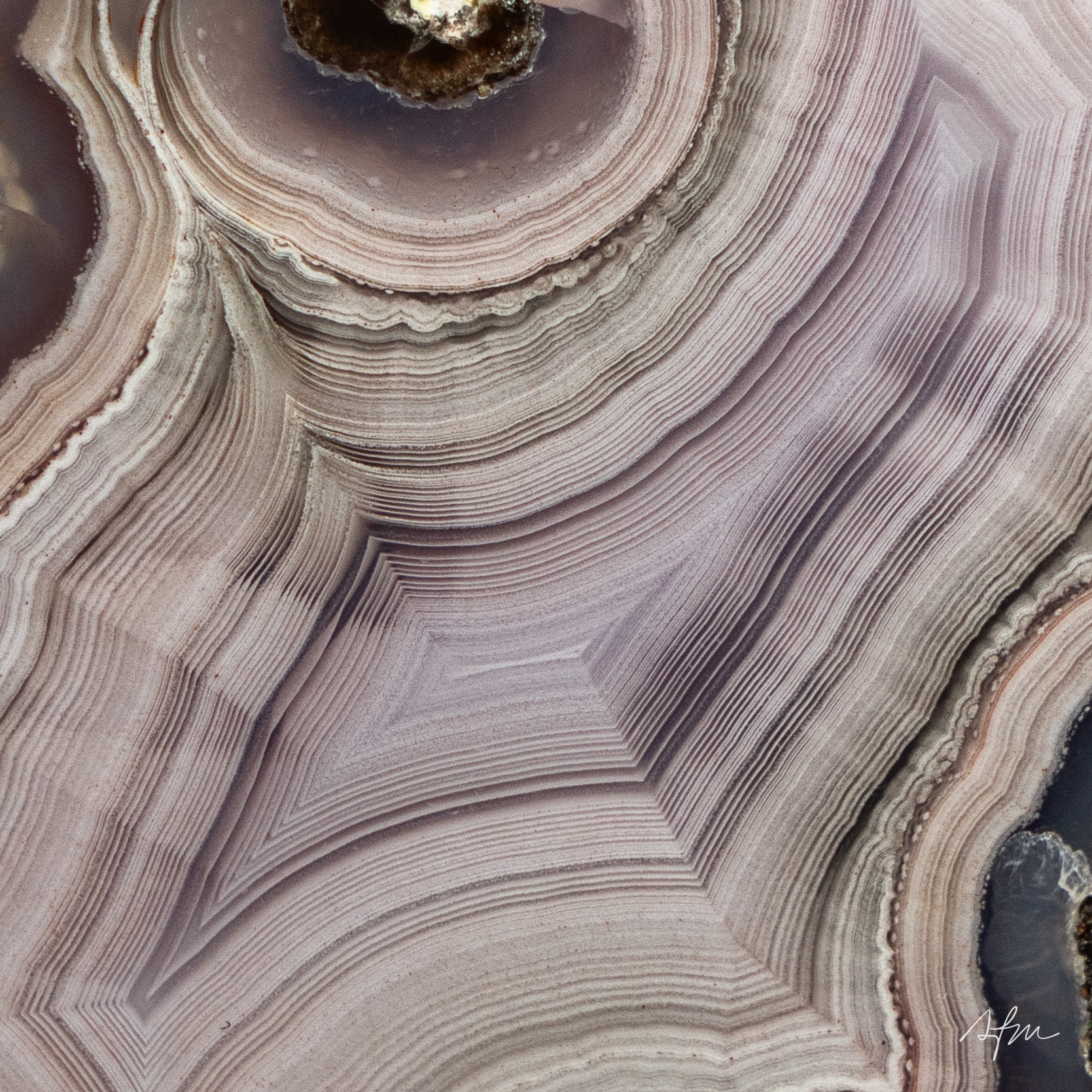 Lumen Fold - view 3
