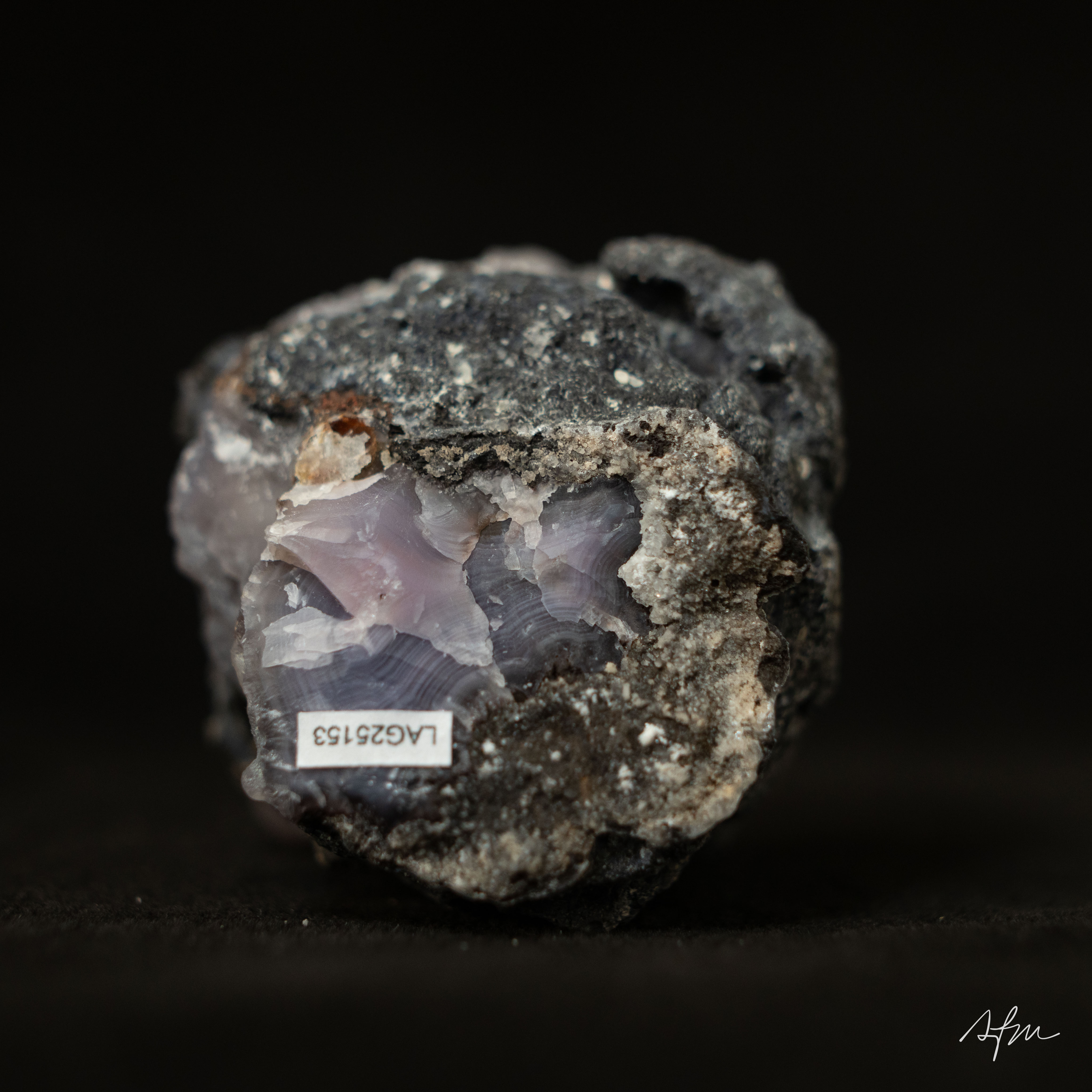 Silent Geo - view 5
