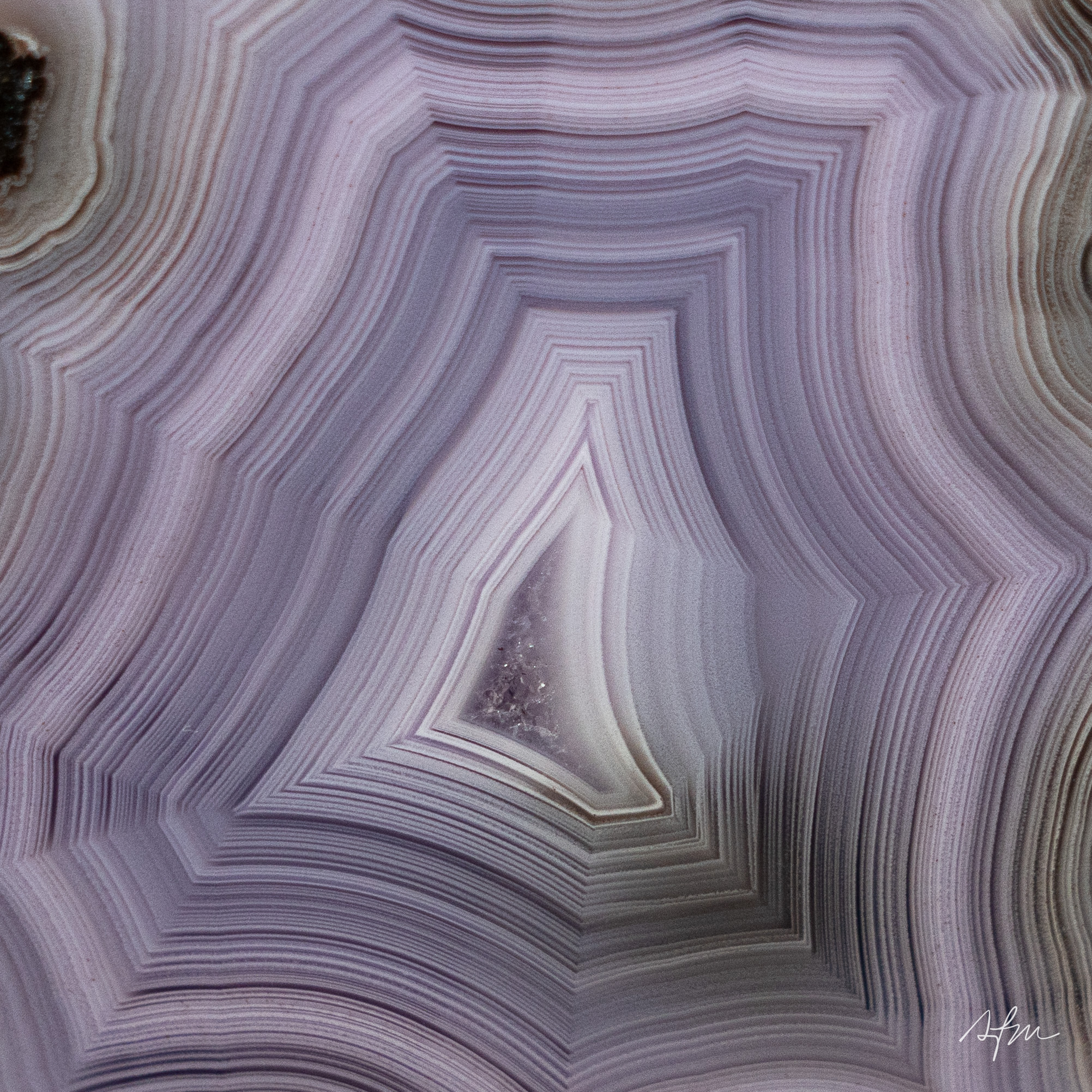 Fogscript - view 3