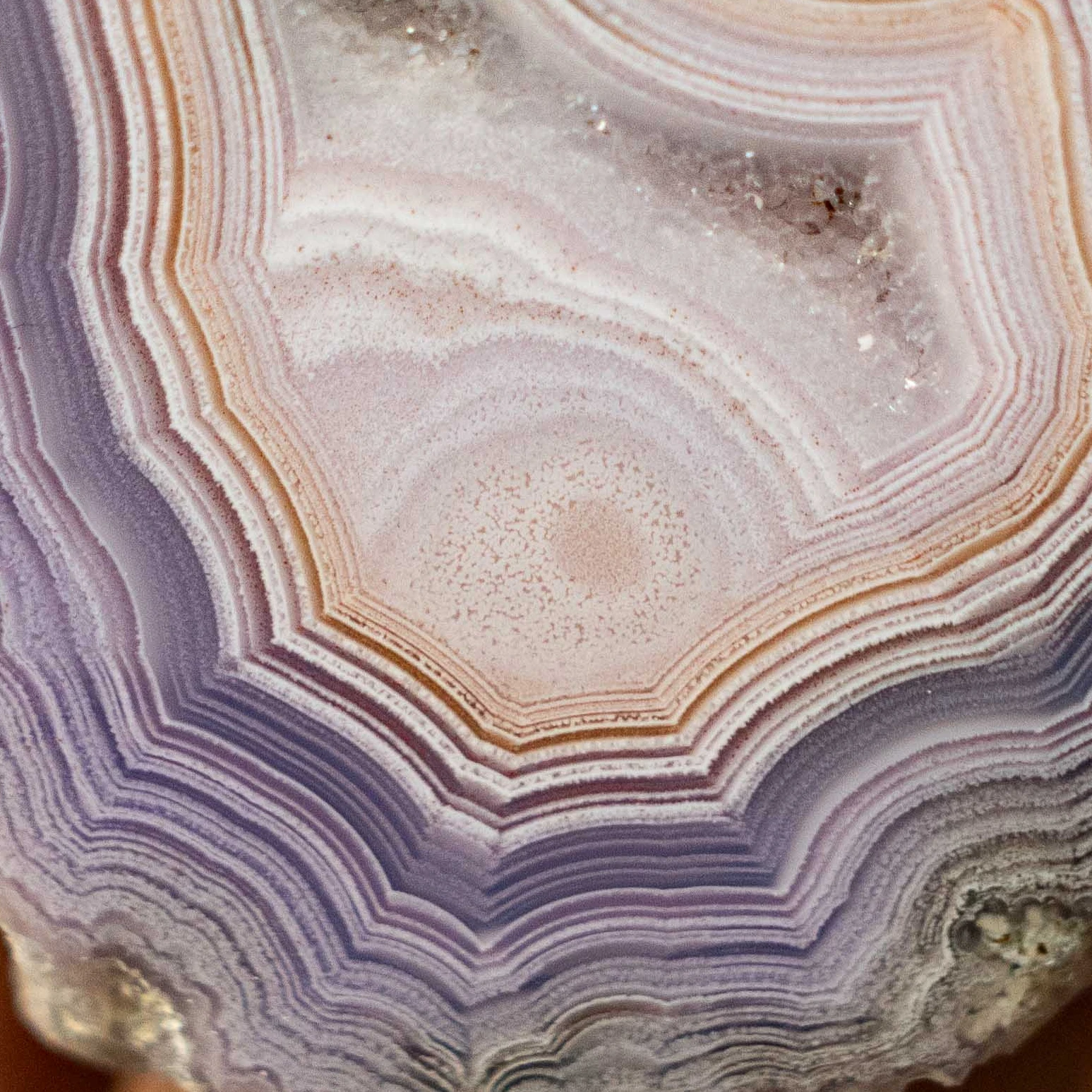Orbital Veil - view 4