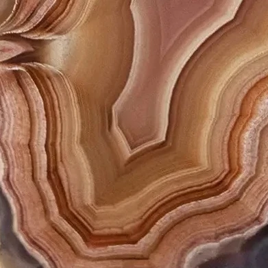 Peach Mirage - view 4