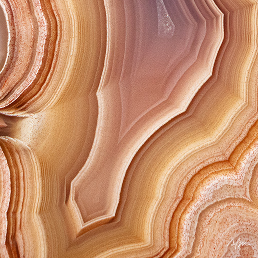 Peach Mirage - view 3