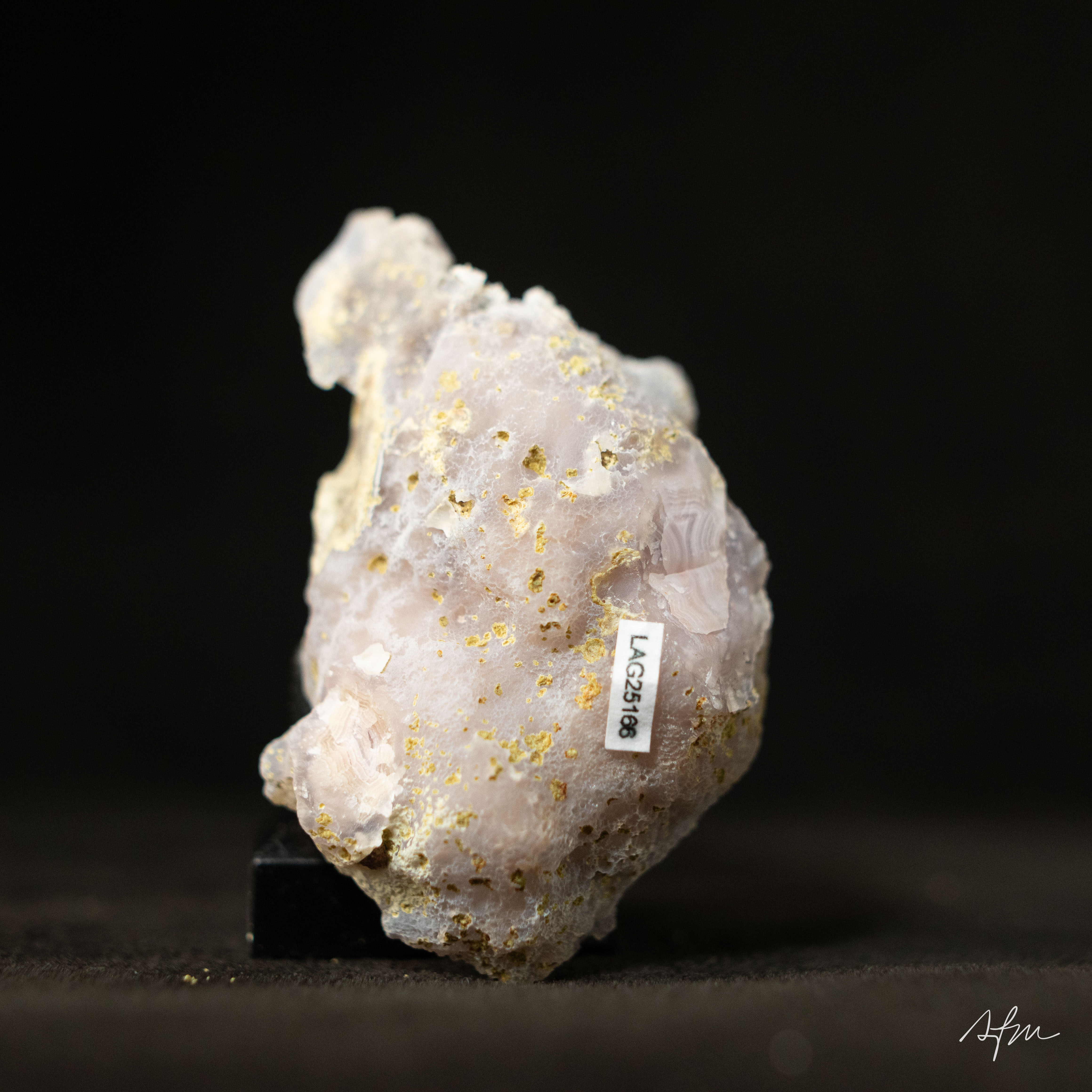 Blush Apex - view 5