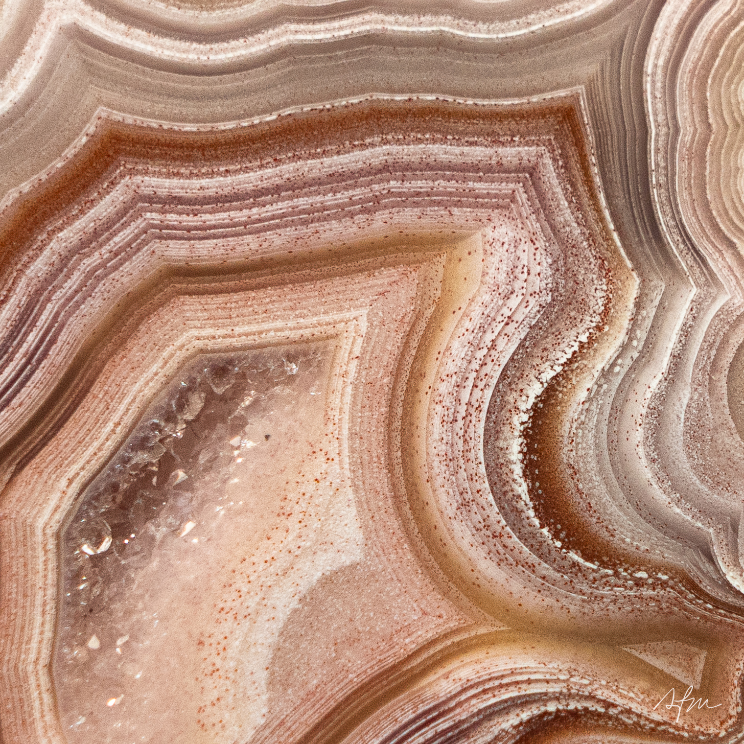 Blush Apex - view 3