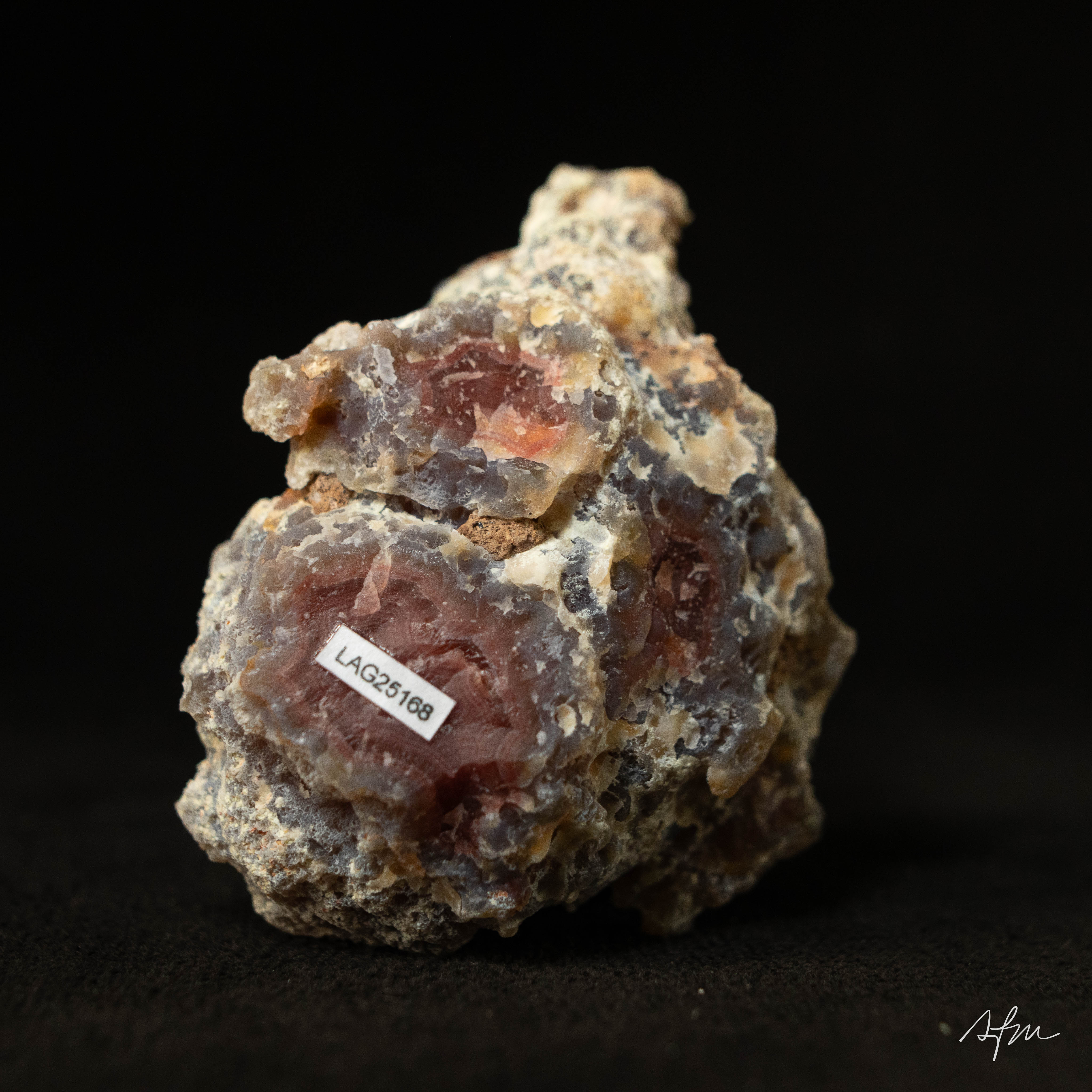 Russet Spire - view 5