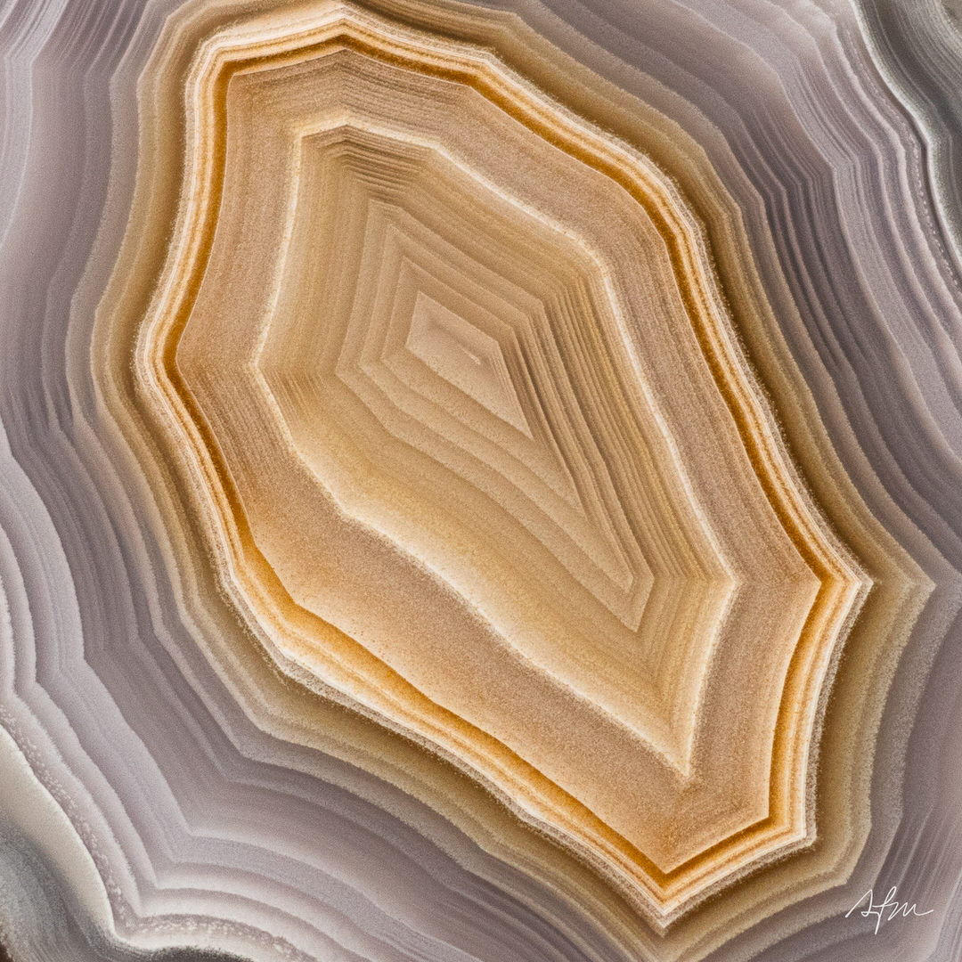 Golden Glow - view 3
