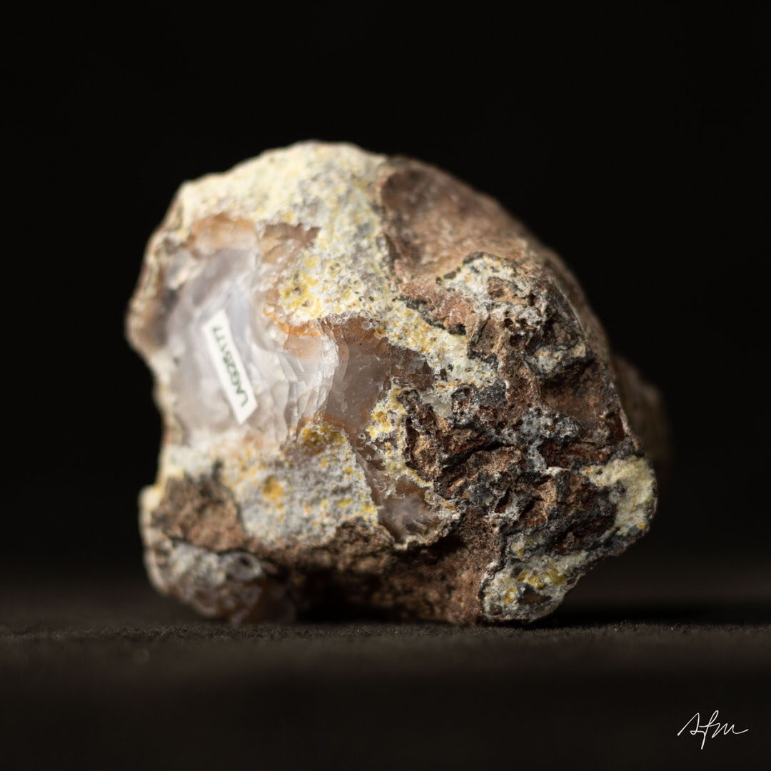 Golden Glow - view 5