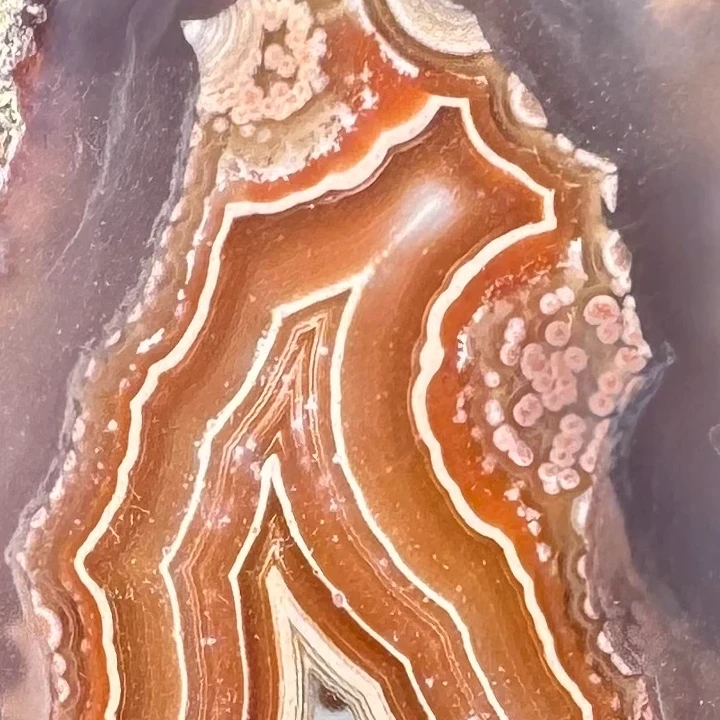 Andromeda - view 5