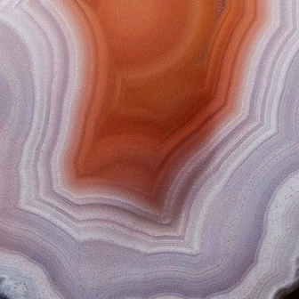 Petal Core - view 5