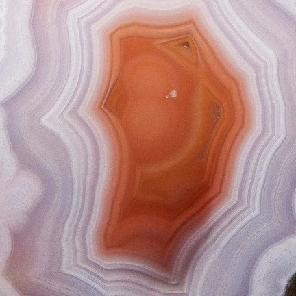 Petal Core - view 4