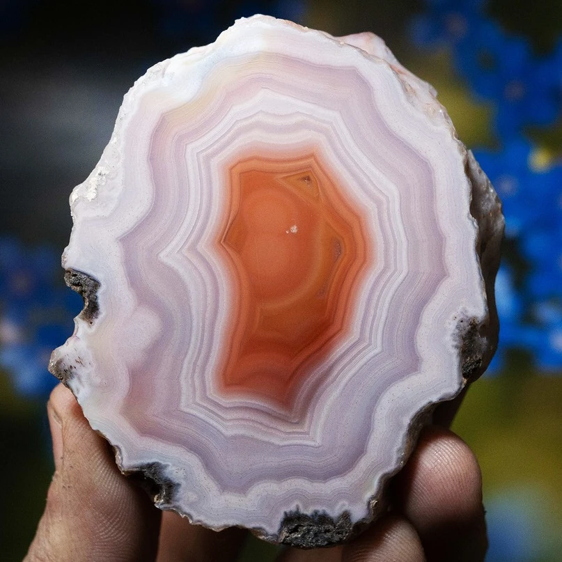 Petal Core - view 2