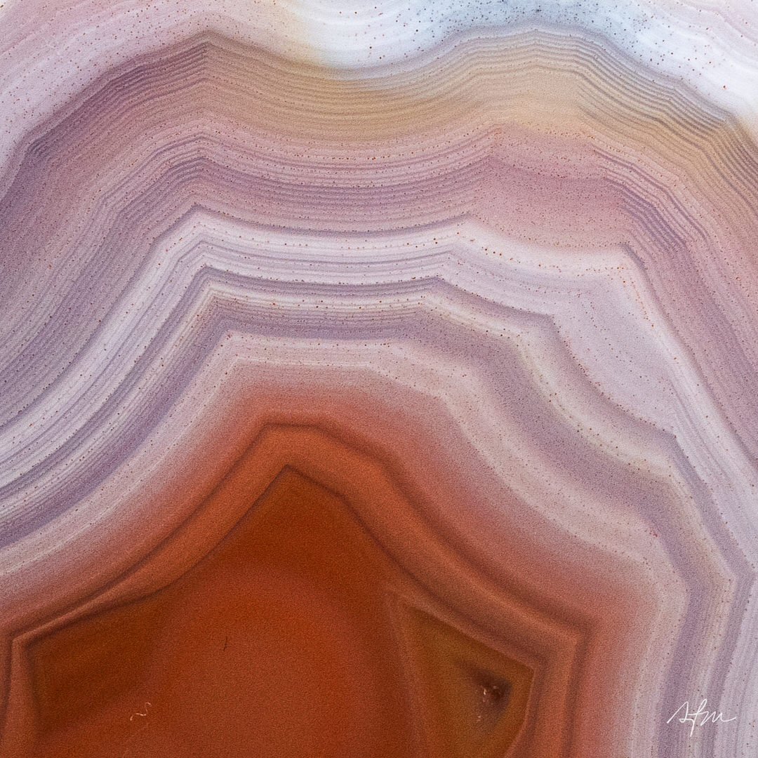Petal Core - view 3