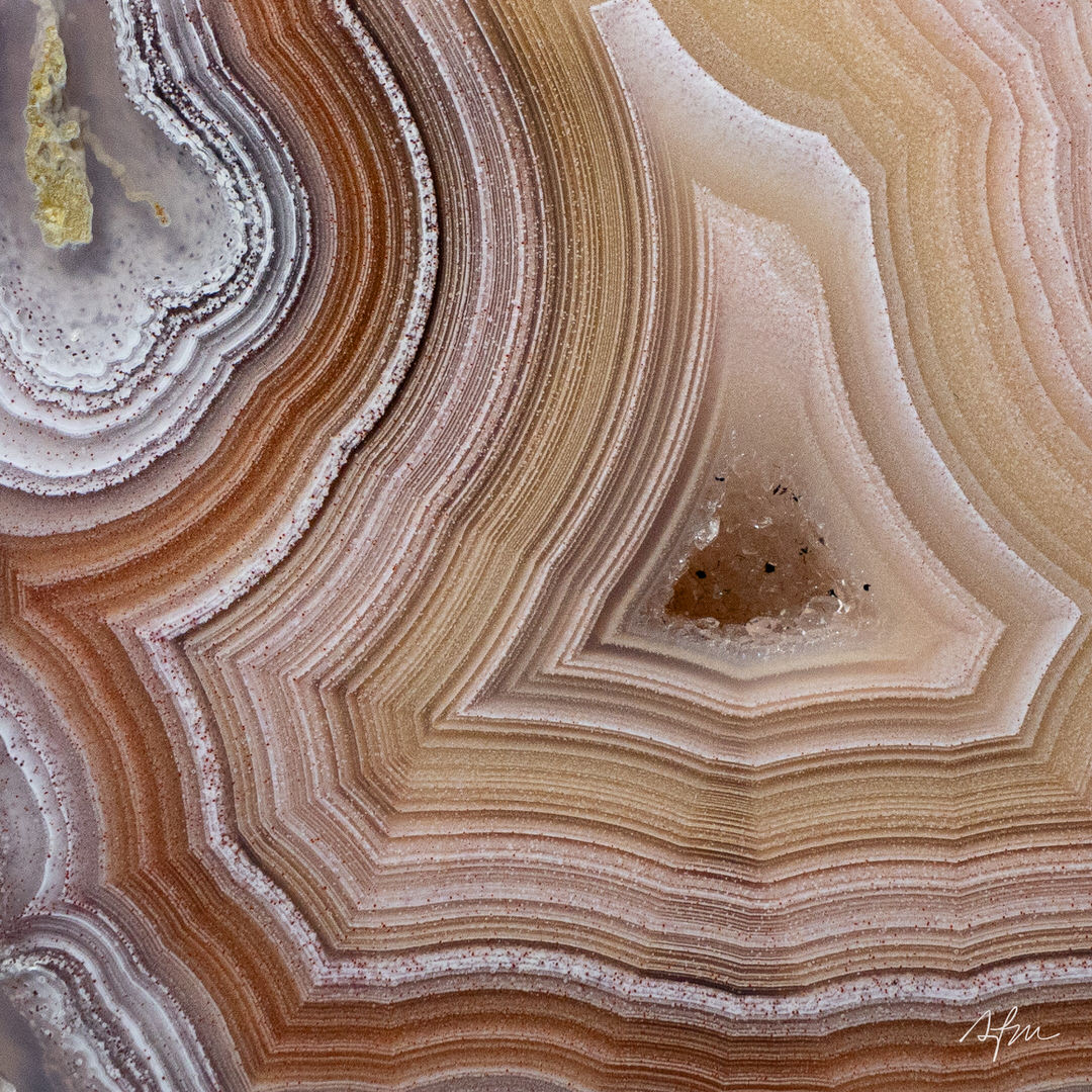 Whispers in Stone - view 3