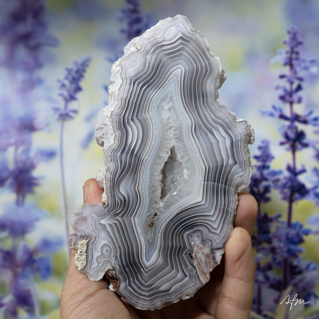 Pale Current - view 2