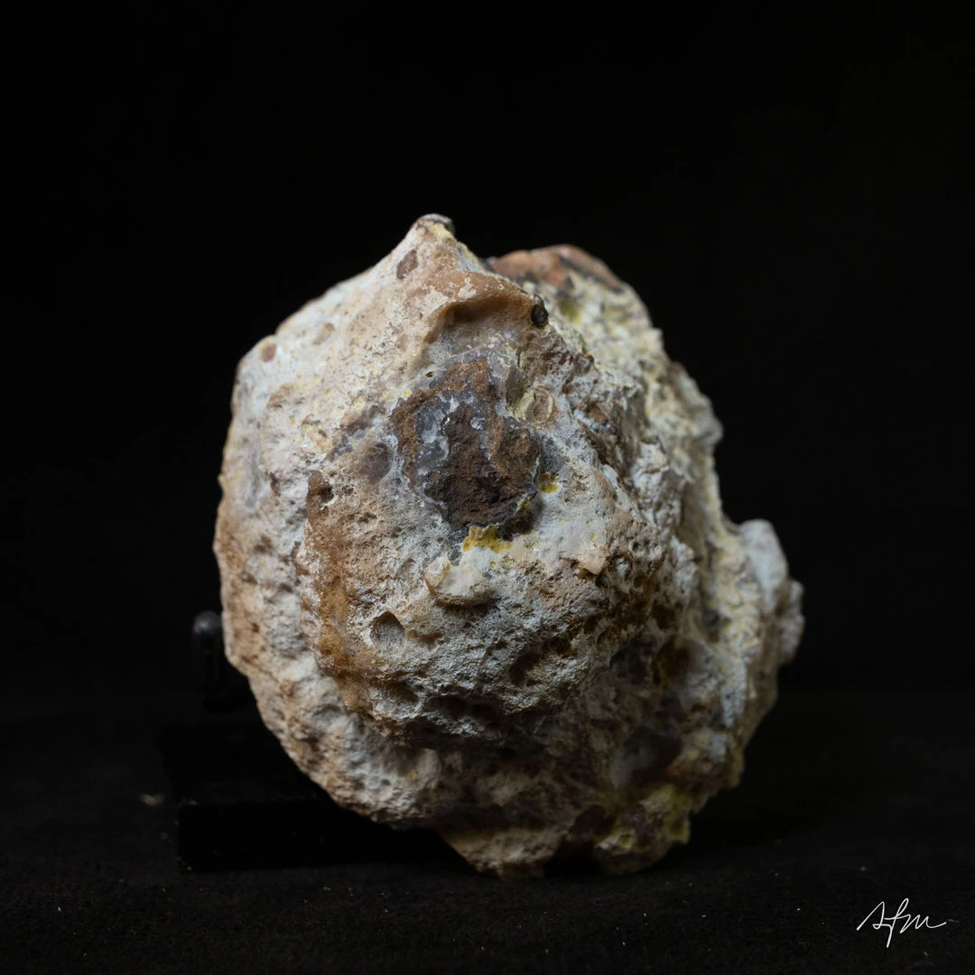 Breath of Stone - view 5