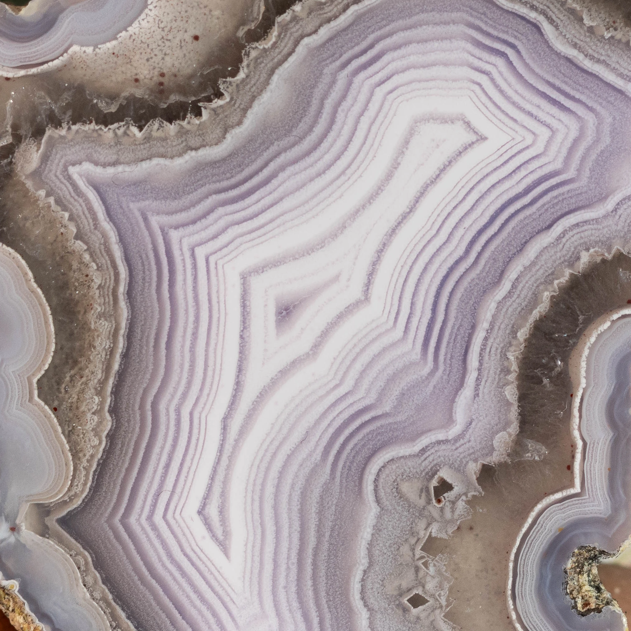 Lilac Veil - view 5
