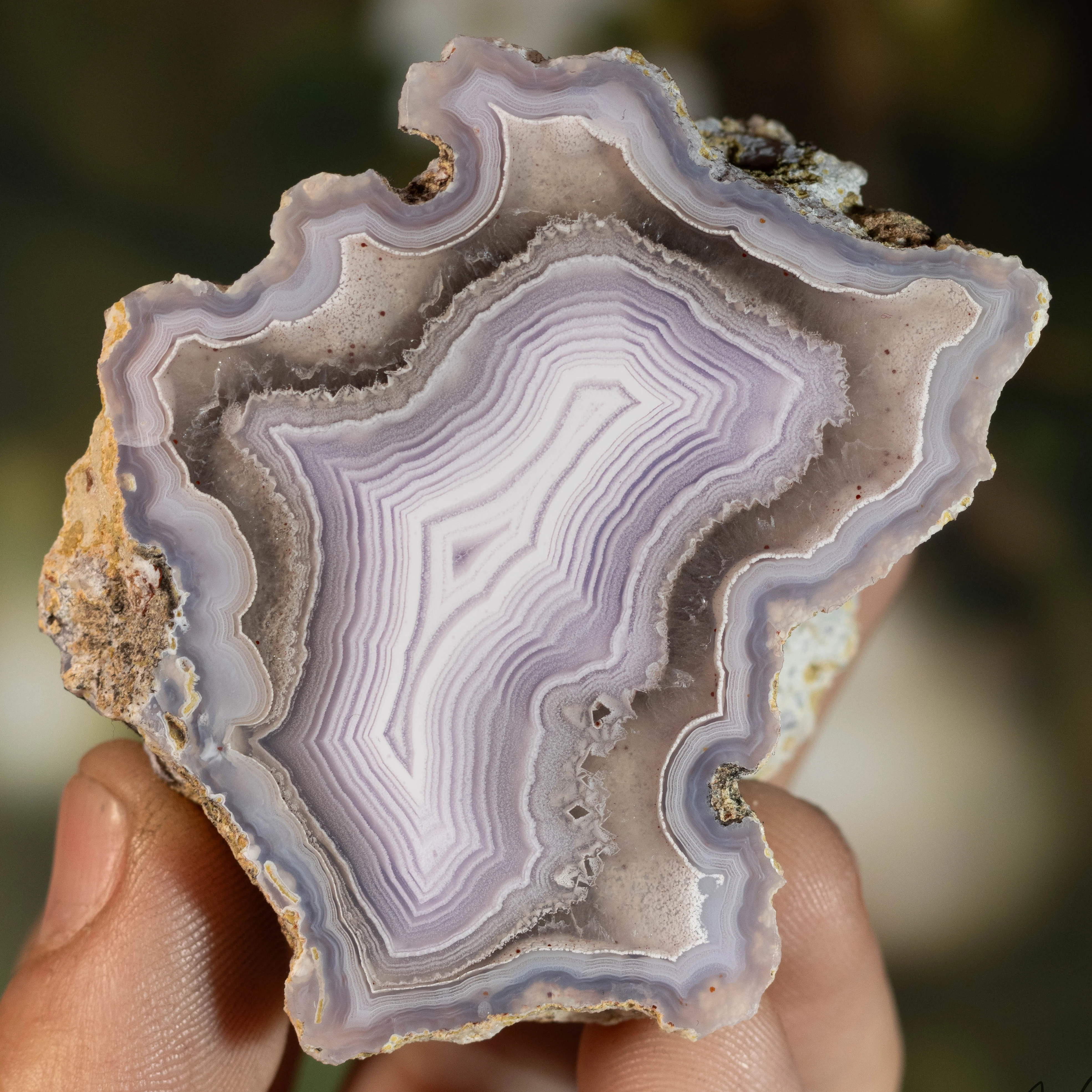 Lilac Veil - view 2