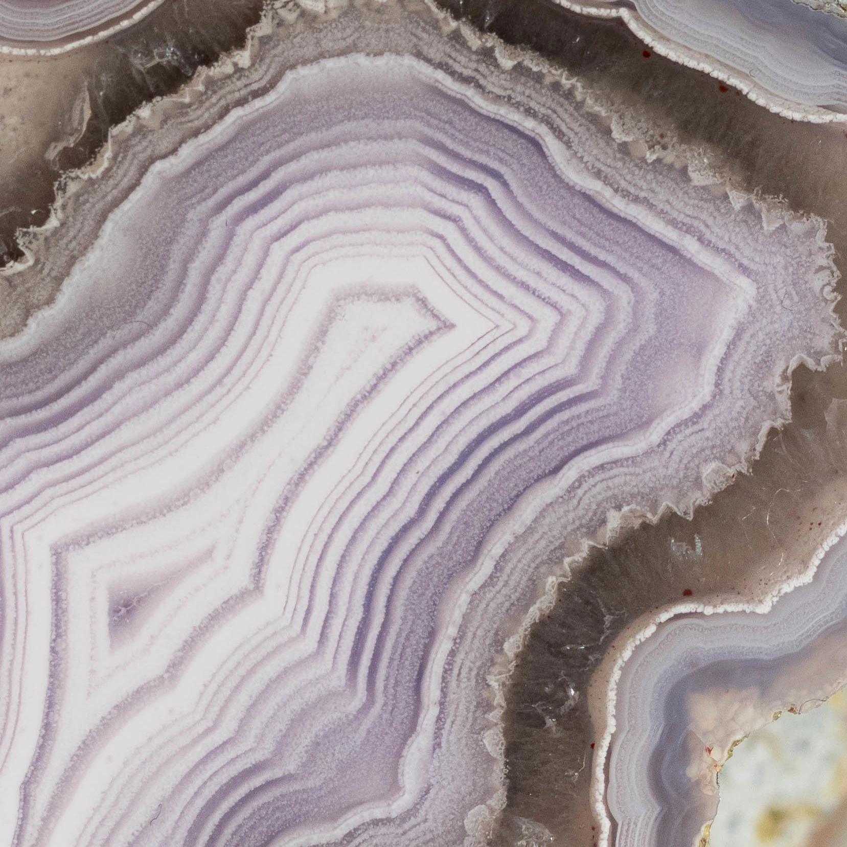 Lilac Veil - view 4