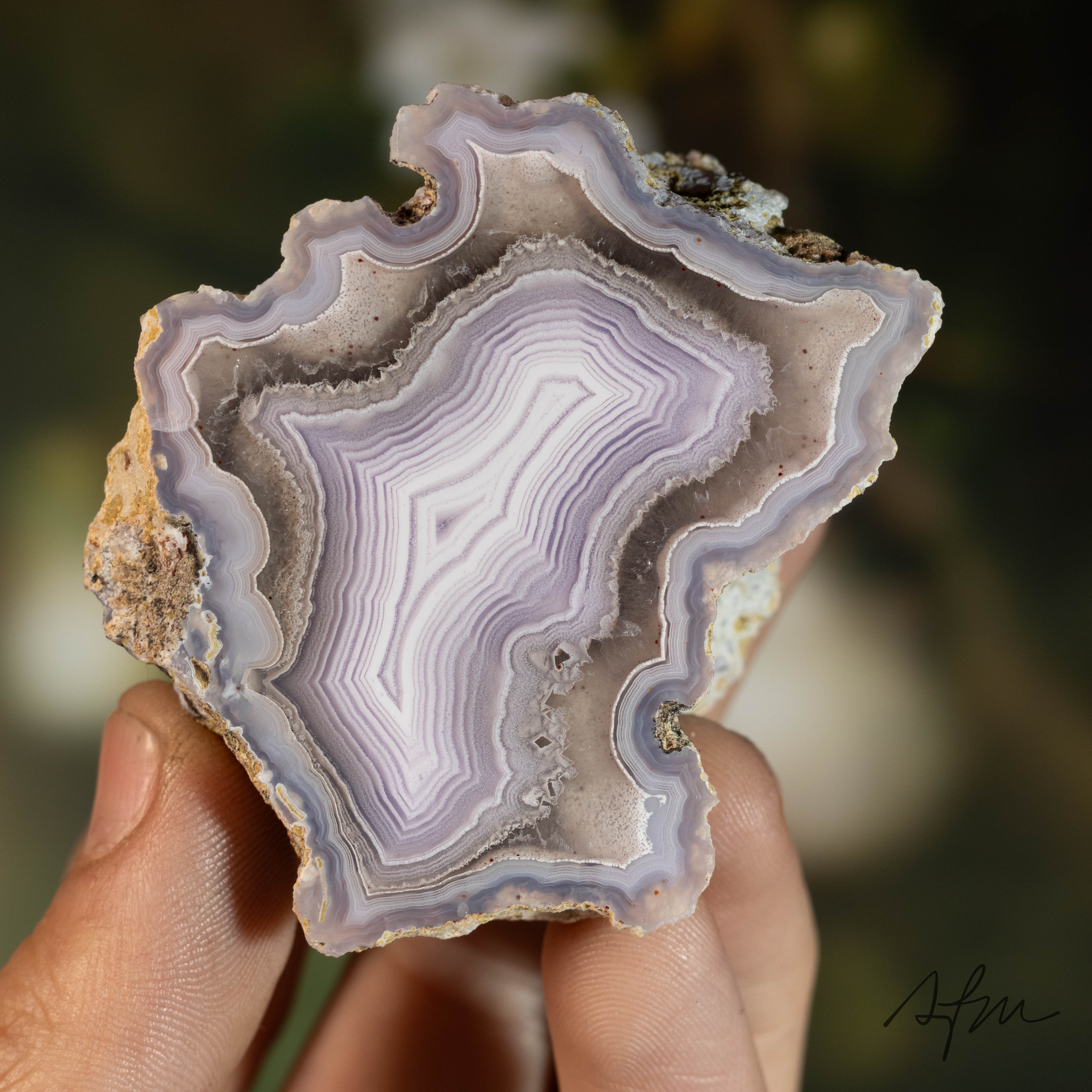 Lilac Veil - view 2