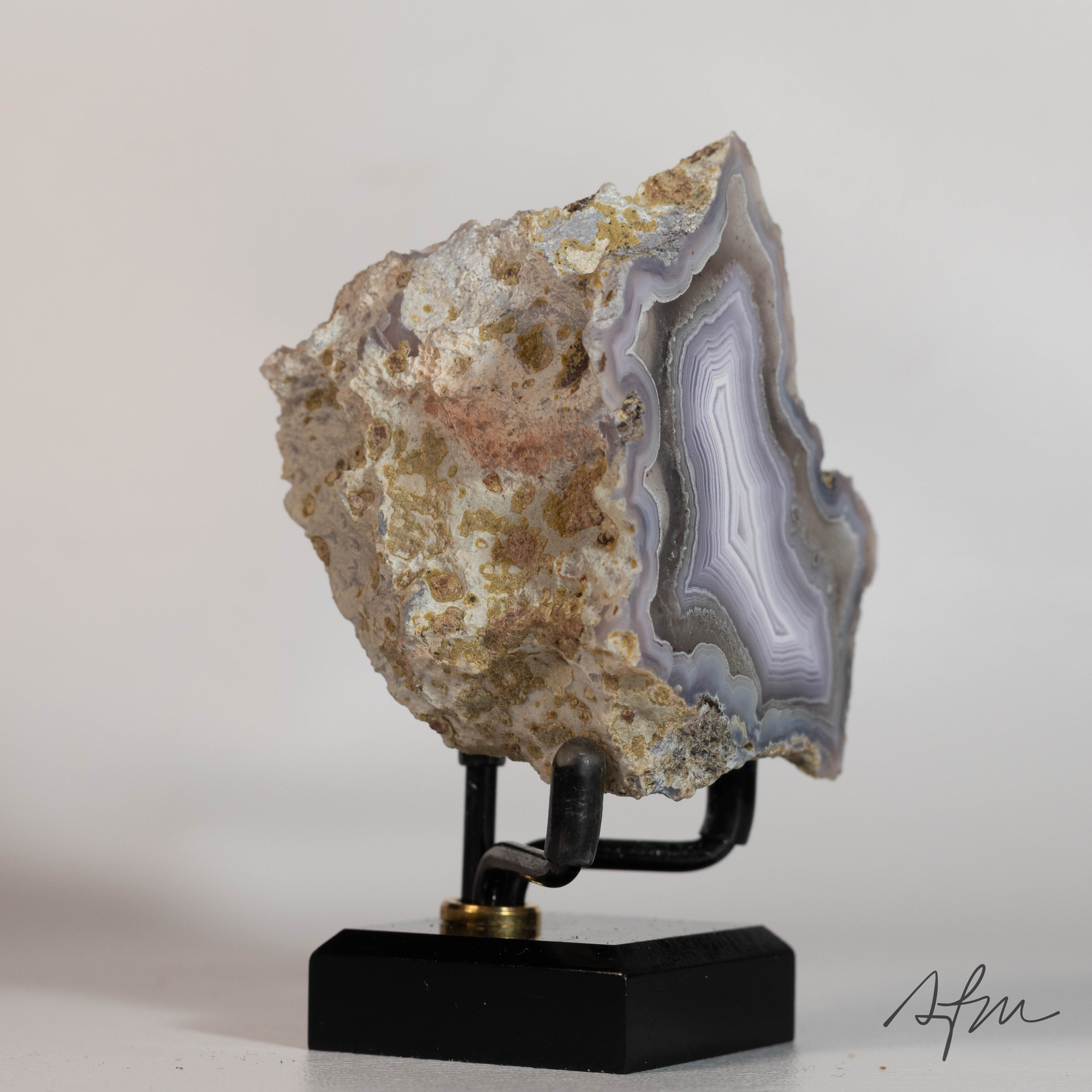 Lilac Veil - view 5