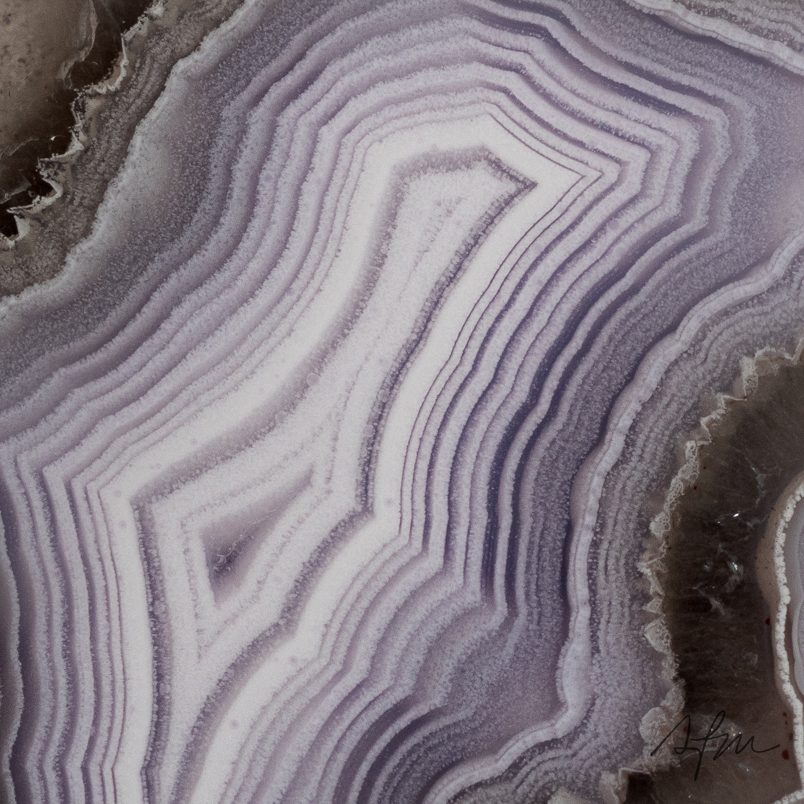 Lilac Veil - view 3